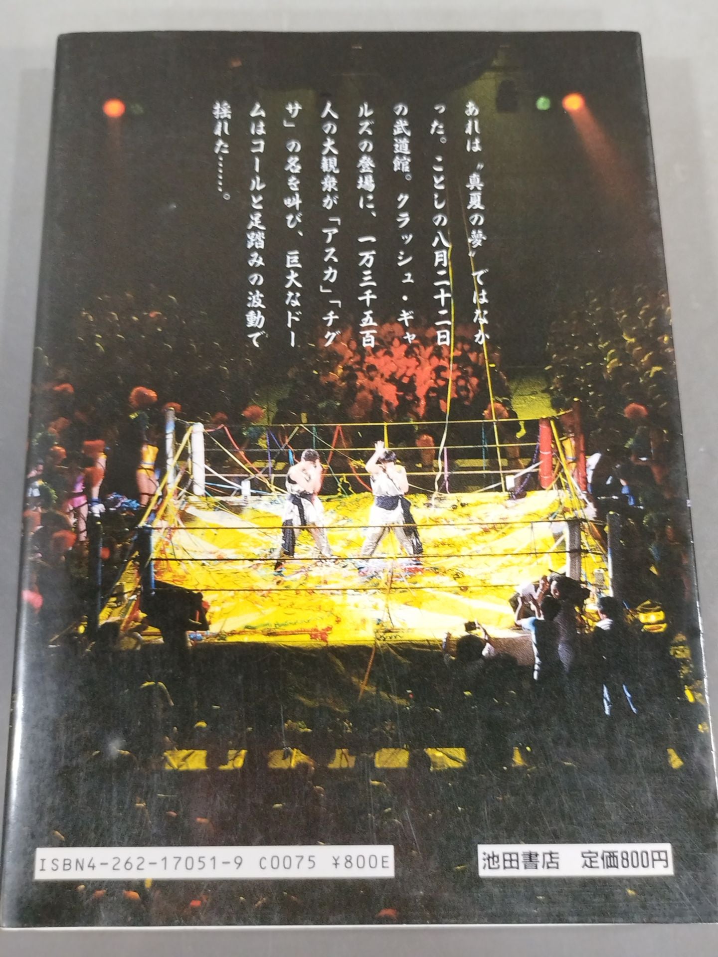 Women's Pro Wrestling Story Warrior of the Ring