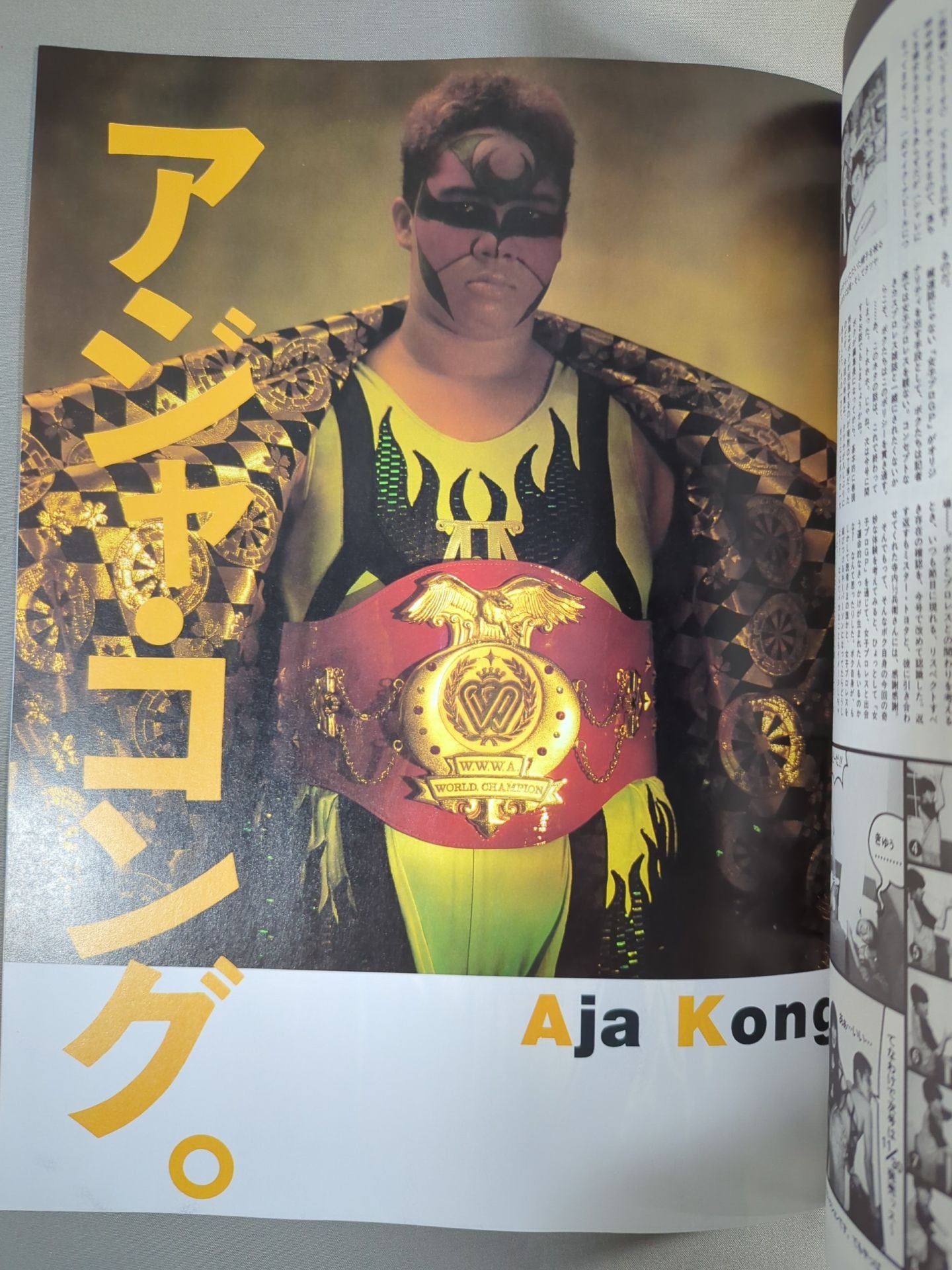 Women's Pro Wrestling Grand Prix Vol.7