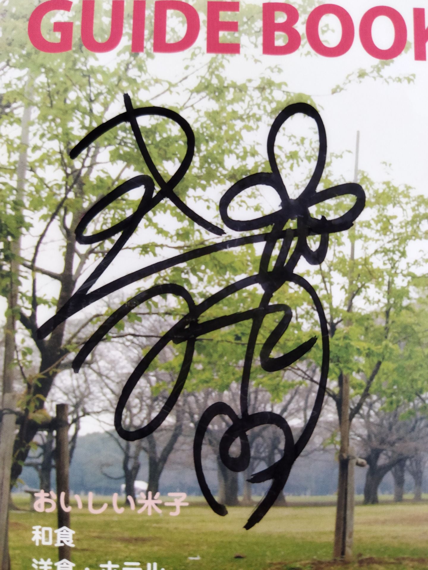 【Moeka Haruhi hand signed autograph 】Yonago Gourmet Guidebook