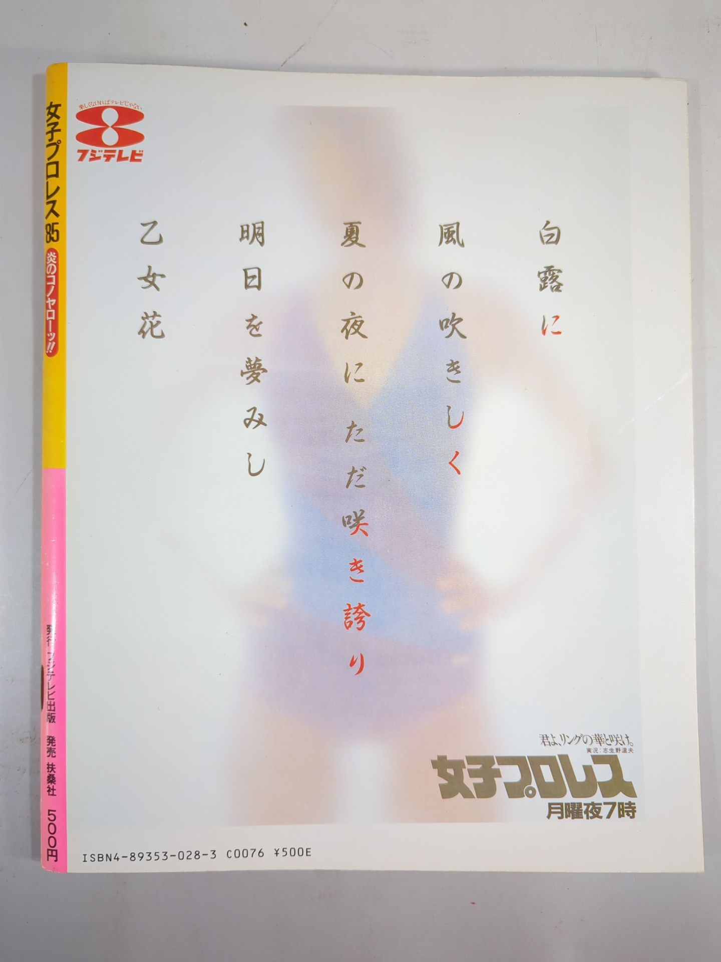 Women's Pro Wrestling '85 Flame no Konoya Roh!!