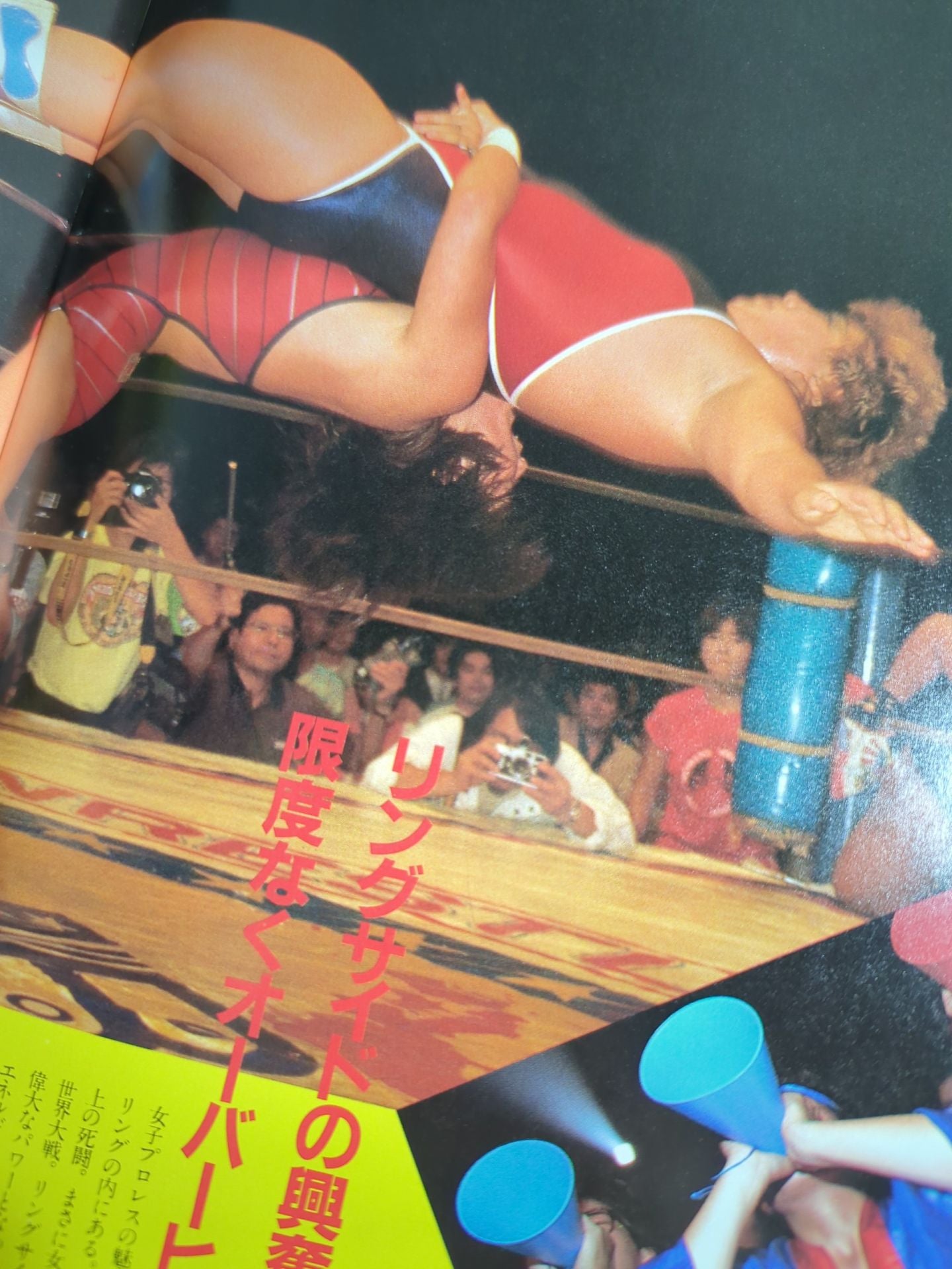 Women's Pro Wrestling '85 Flame no Konoya Roh!!