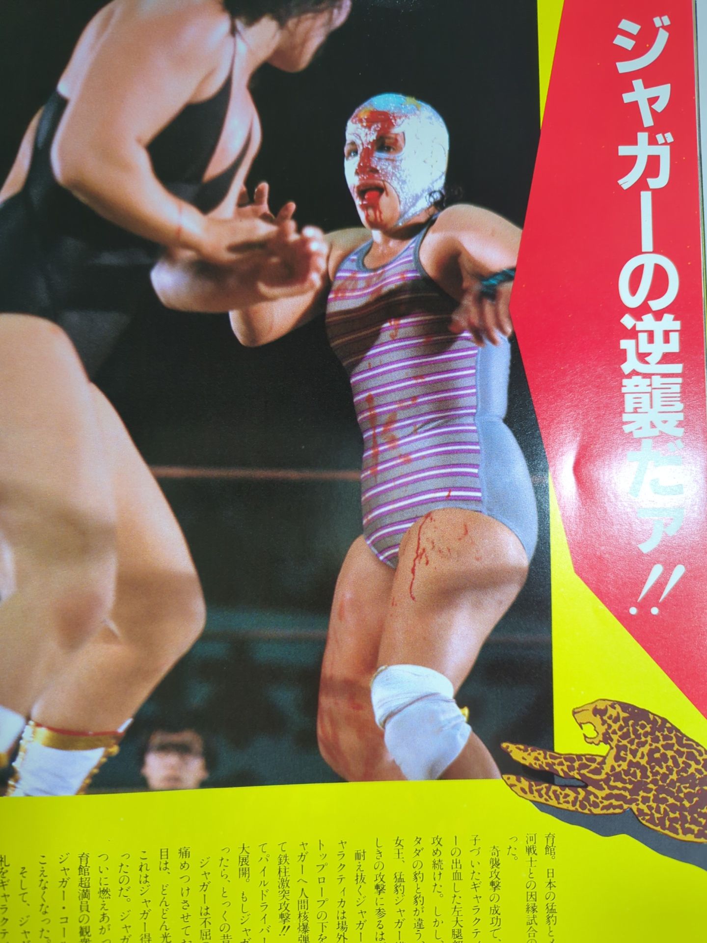 Women's Pro Wrestling '85 Flame no Konoya Roh!!