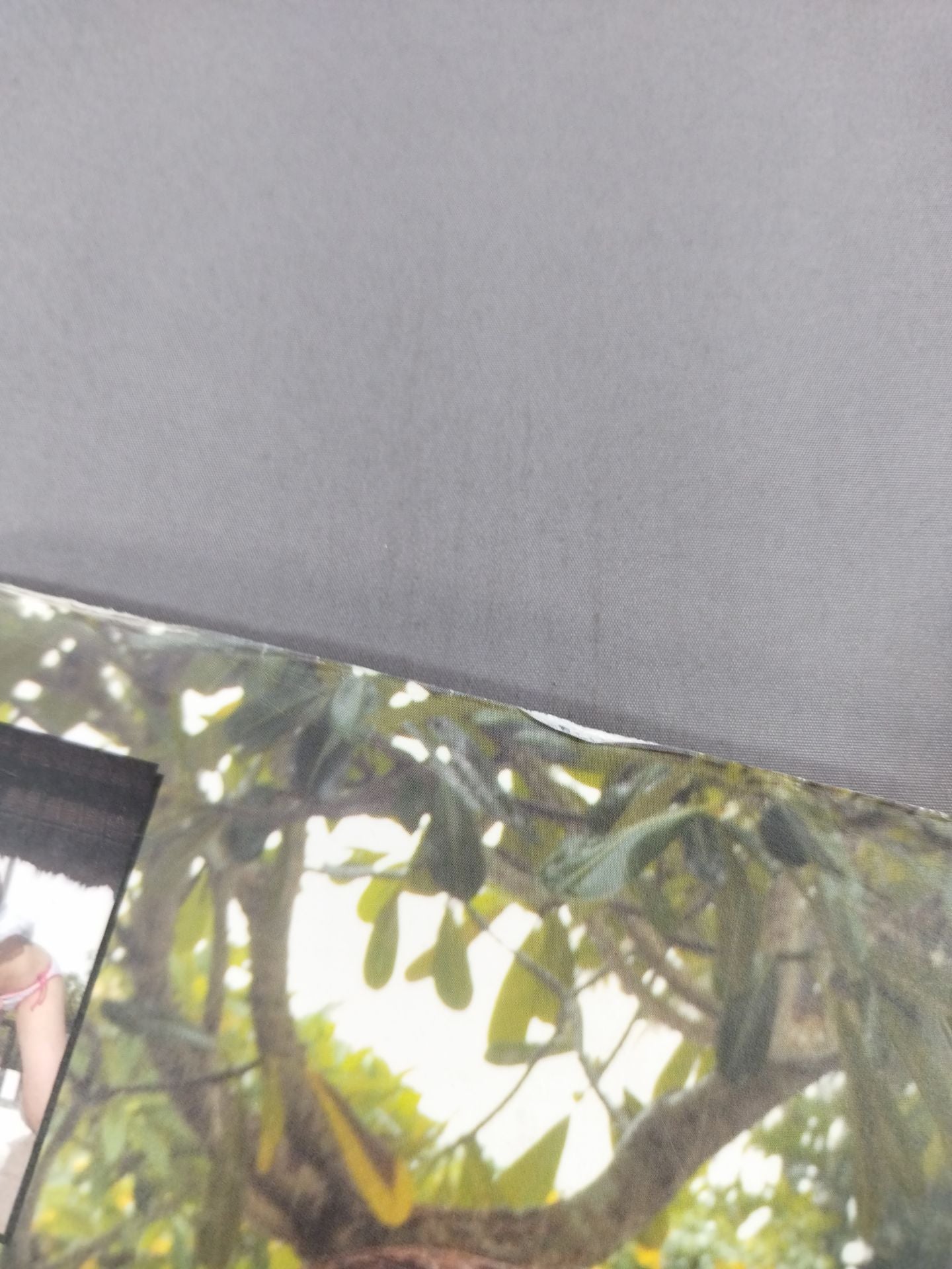 渋谷シュウ写真集 Nature