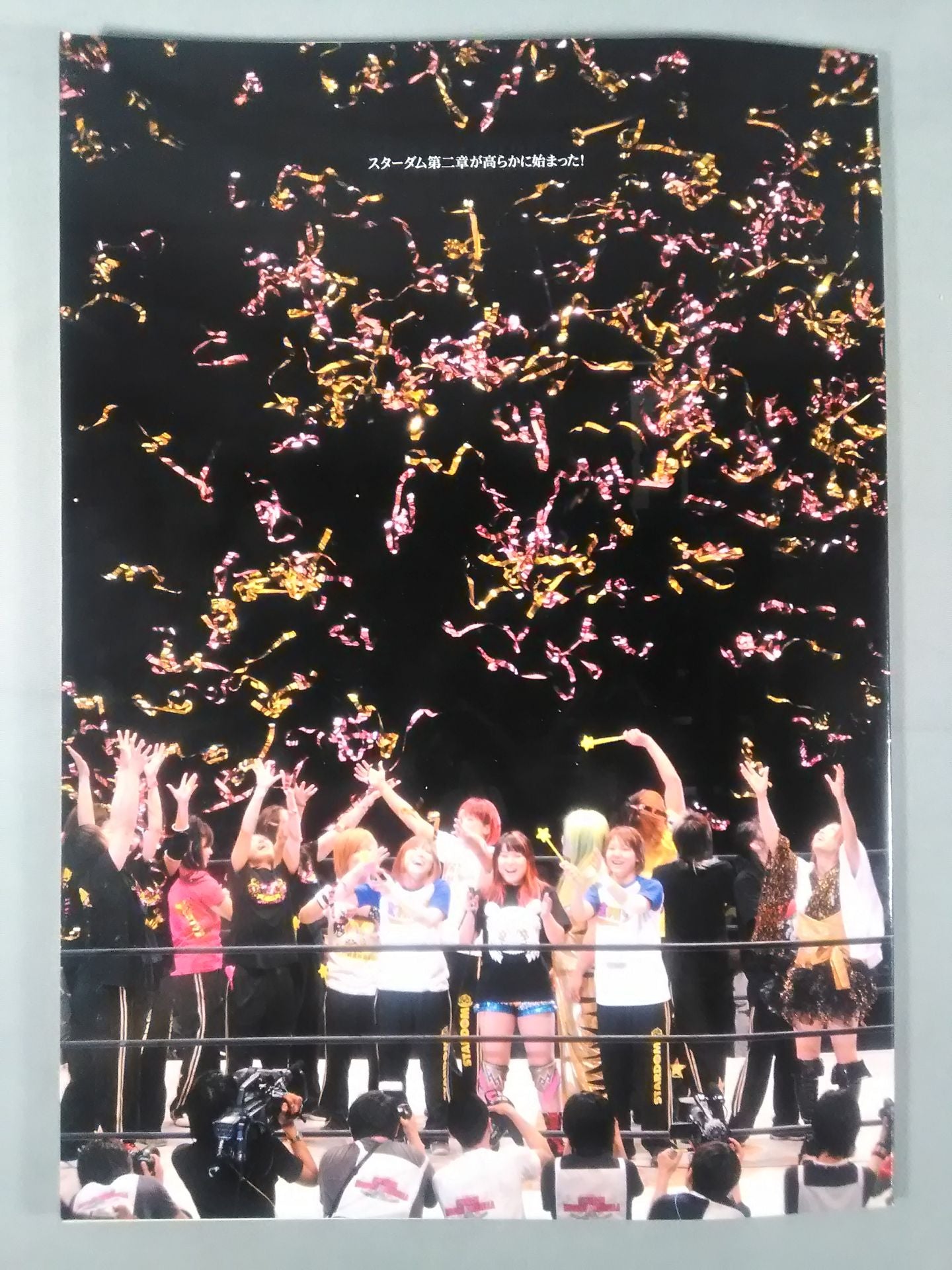 WORLD WONDER RING STARDOM OFFICIAL BOOK / Stardom Ryogoku Cinderella