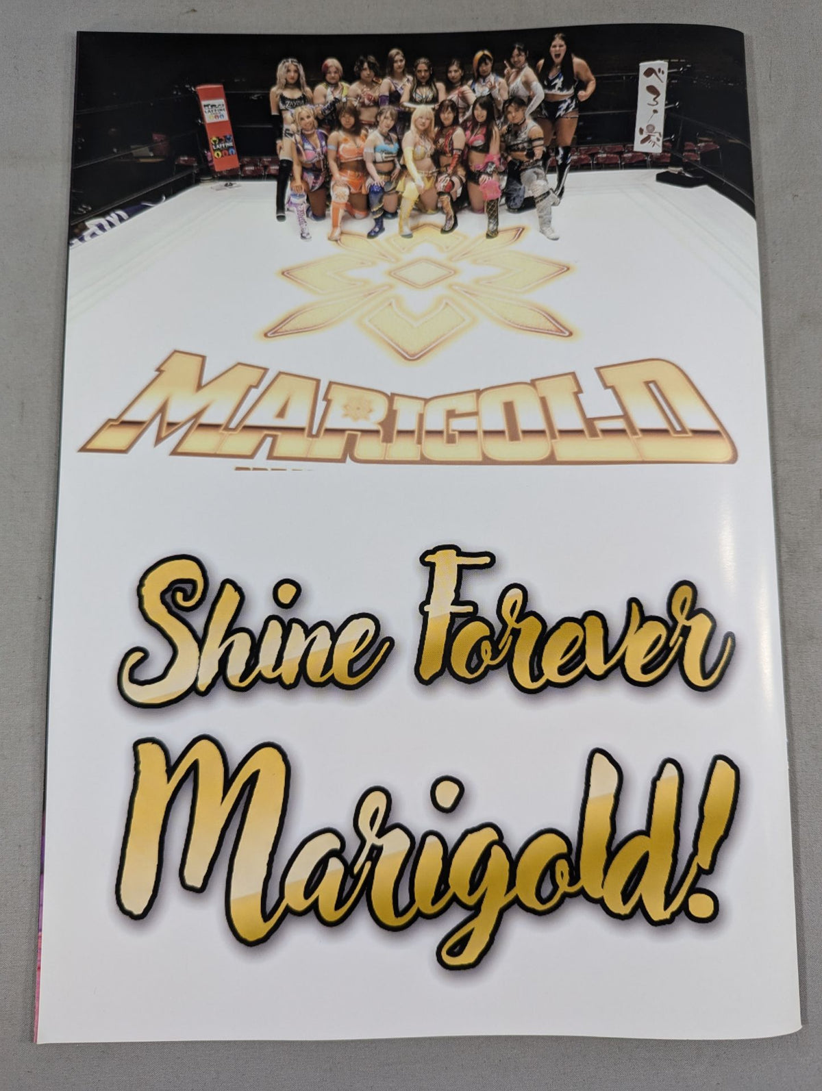 Marigold Premium Portrait Book