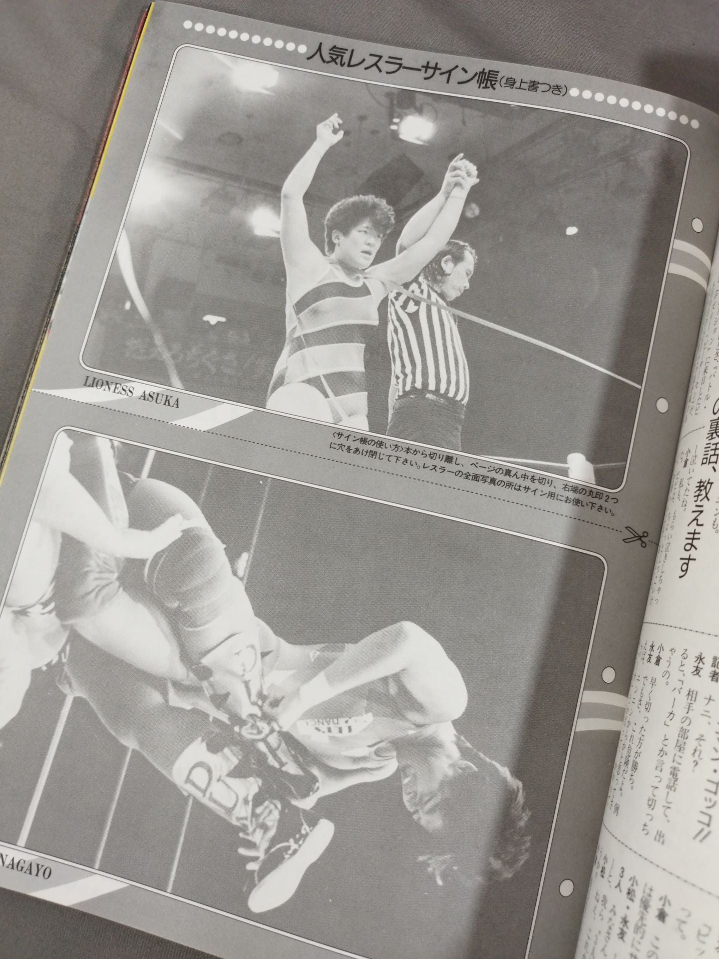 Flame Warrior / Weekly Big Wrestler Special Issue 9.25