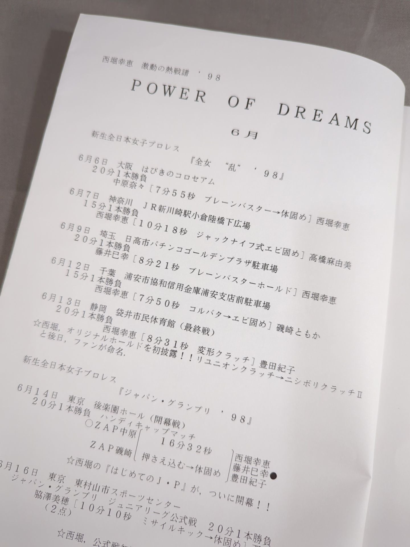 Yukie Nishibori FAN BOOK / SACHIE-AID