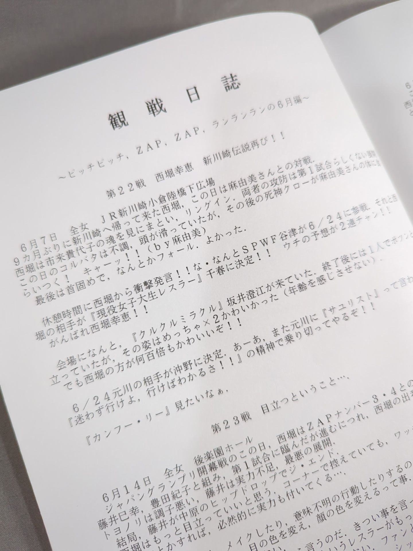 Yukie Nishibori FAN BOOK / SACHIE-AID