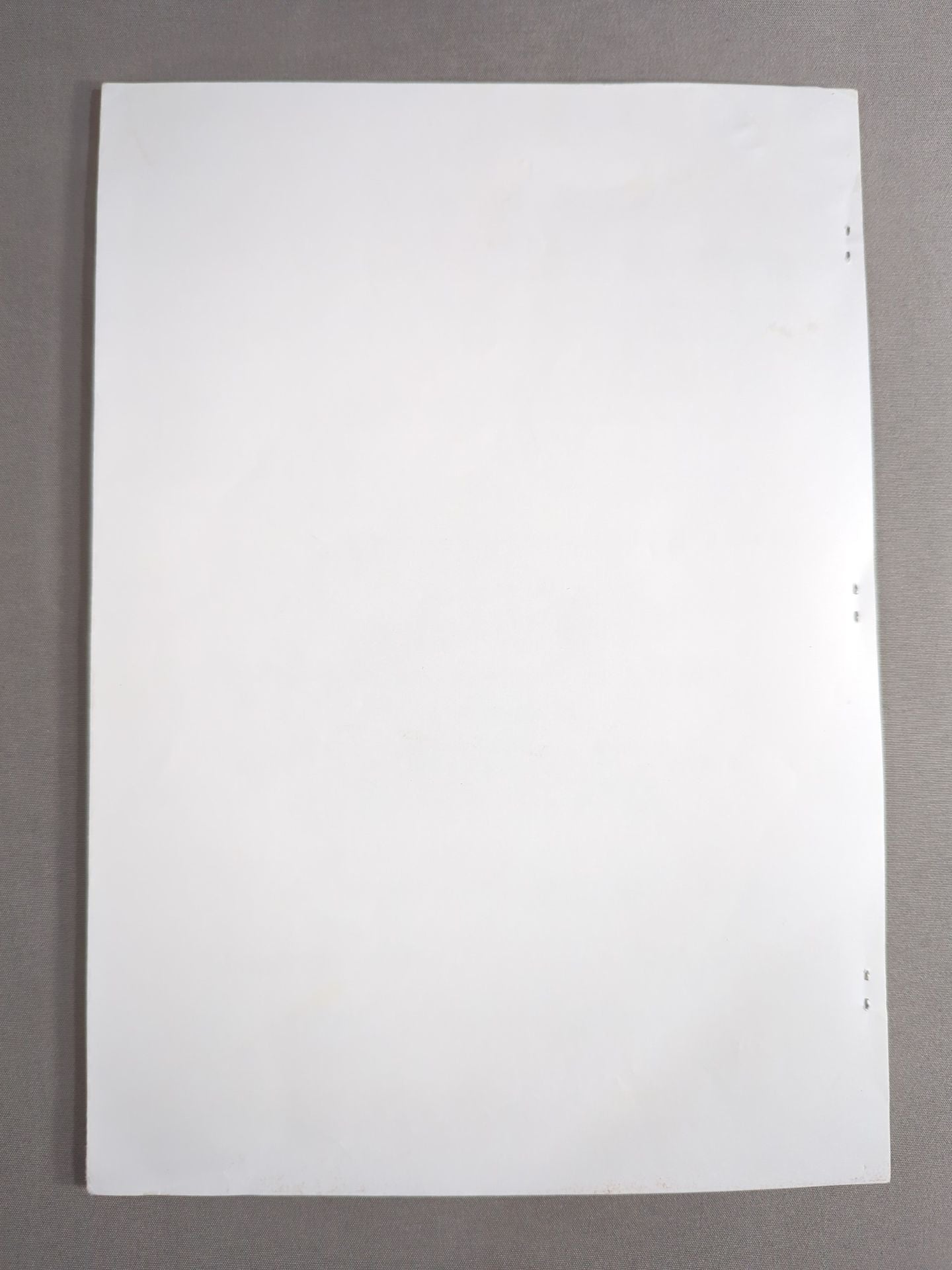 Yukie Nishibori FAN BOOK / SACHIE-AID