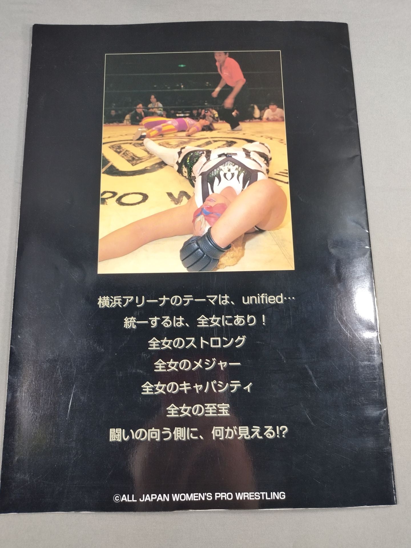 Wrestling QUEENDOM 横浜美神Kingdom / unified