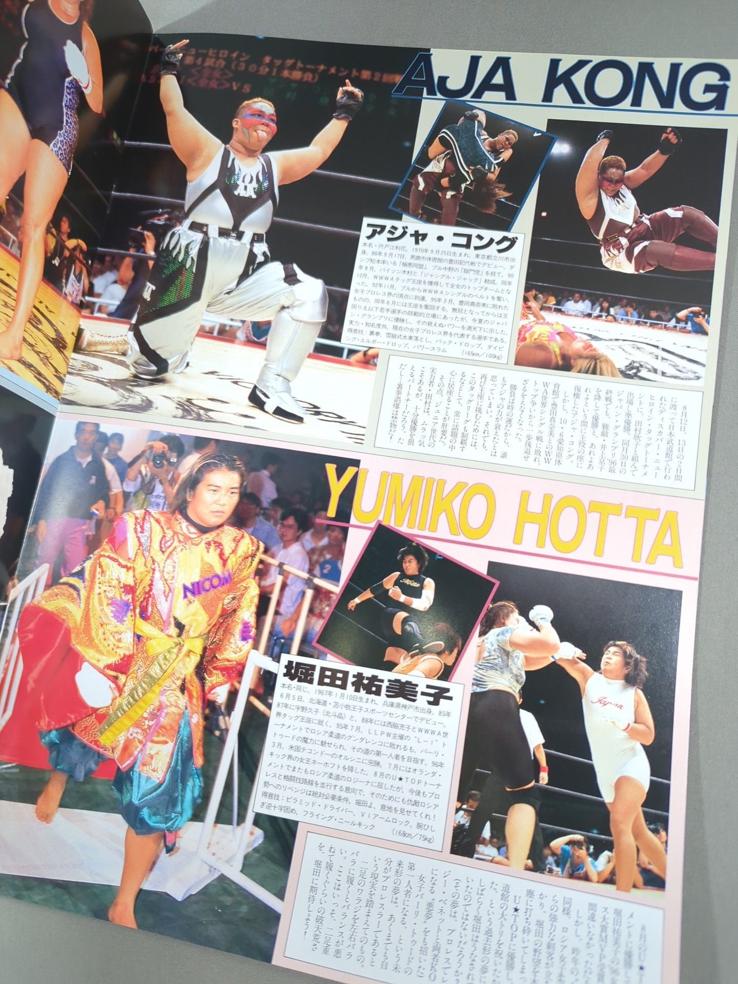 リングスターPROGRAM / TAG LEAGUE THE BEST’96