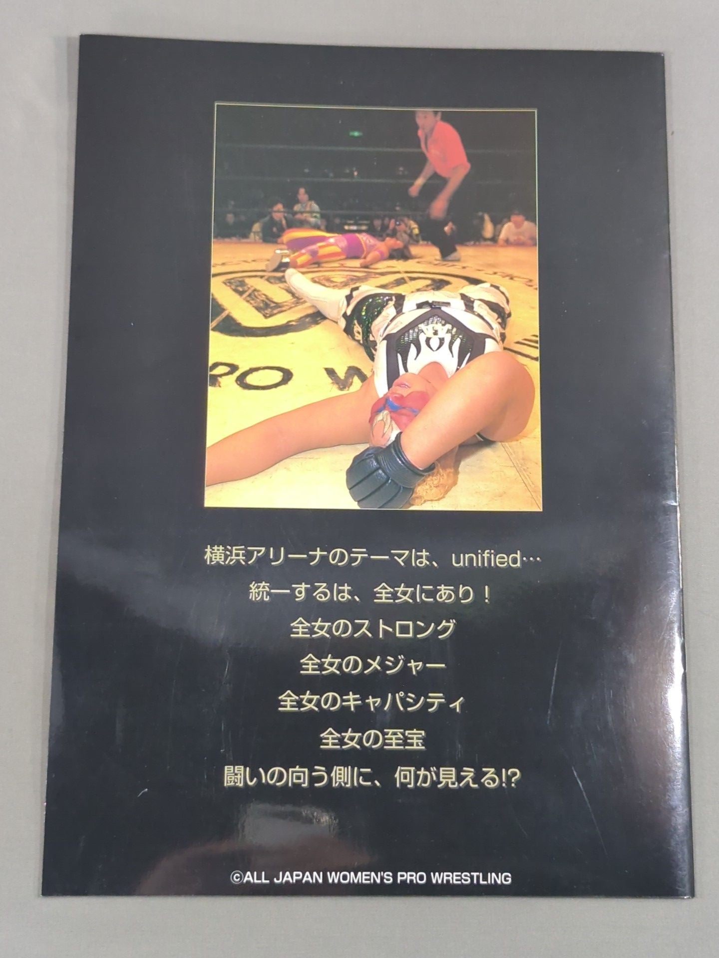 WRESTLING QUEENDOM 横浜美神王国 unified