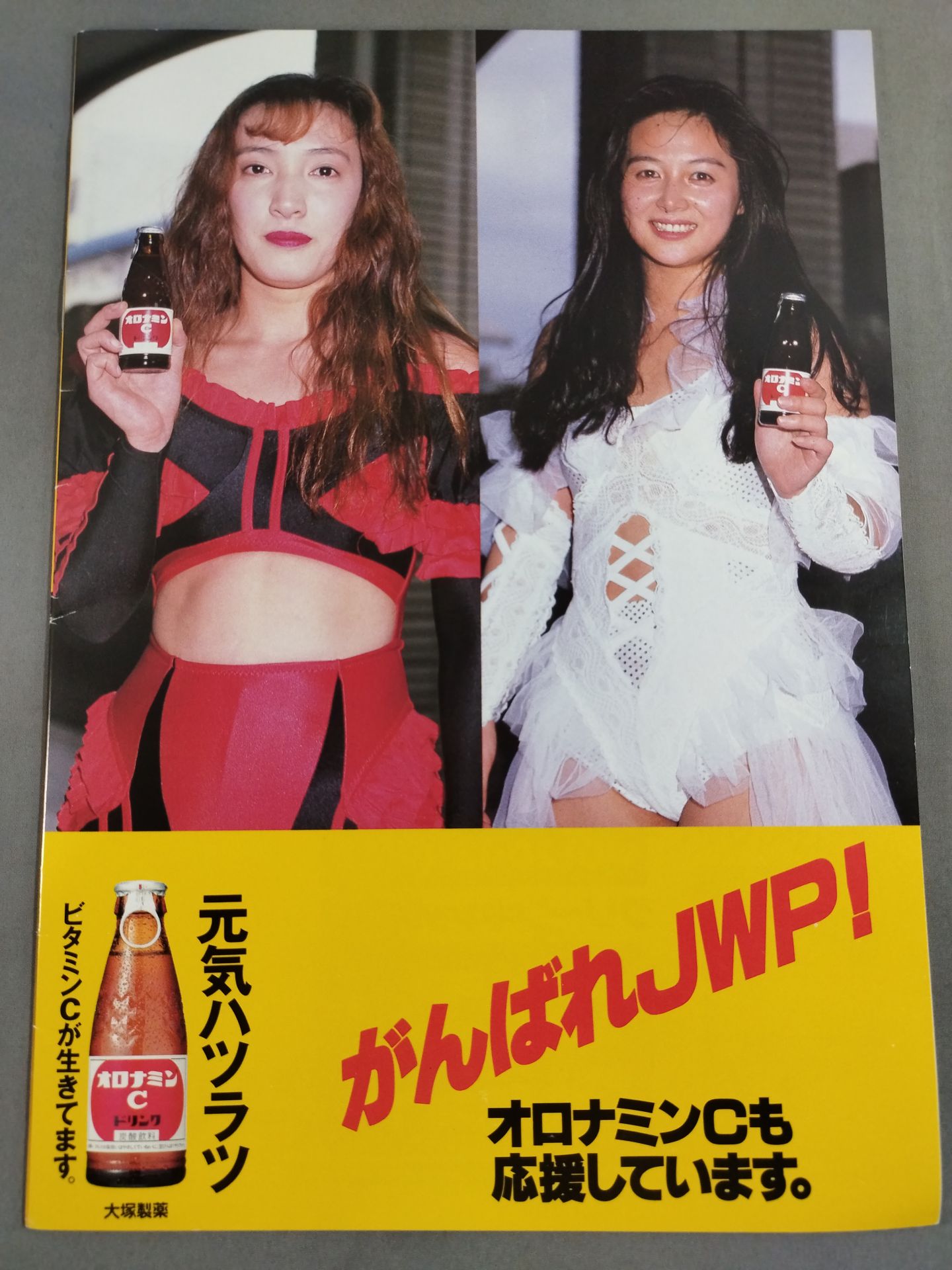 JWP / OFFICIAL PAMPHLET Vol.14 激戦