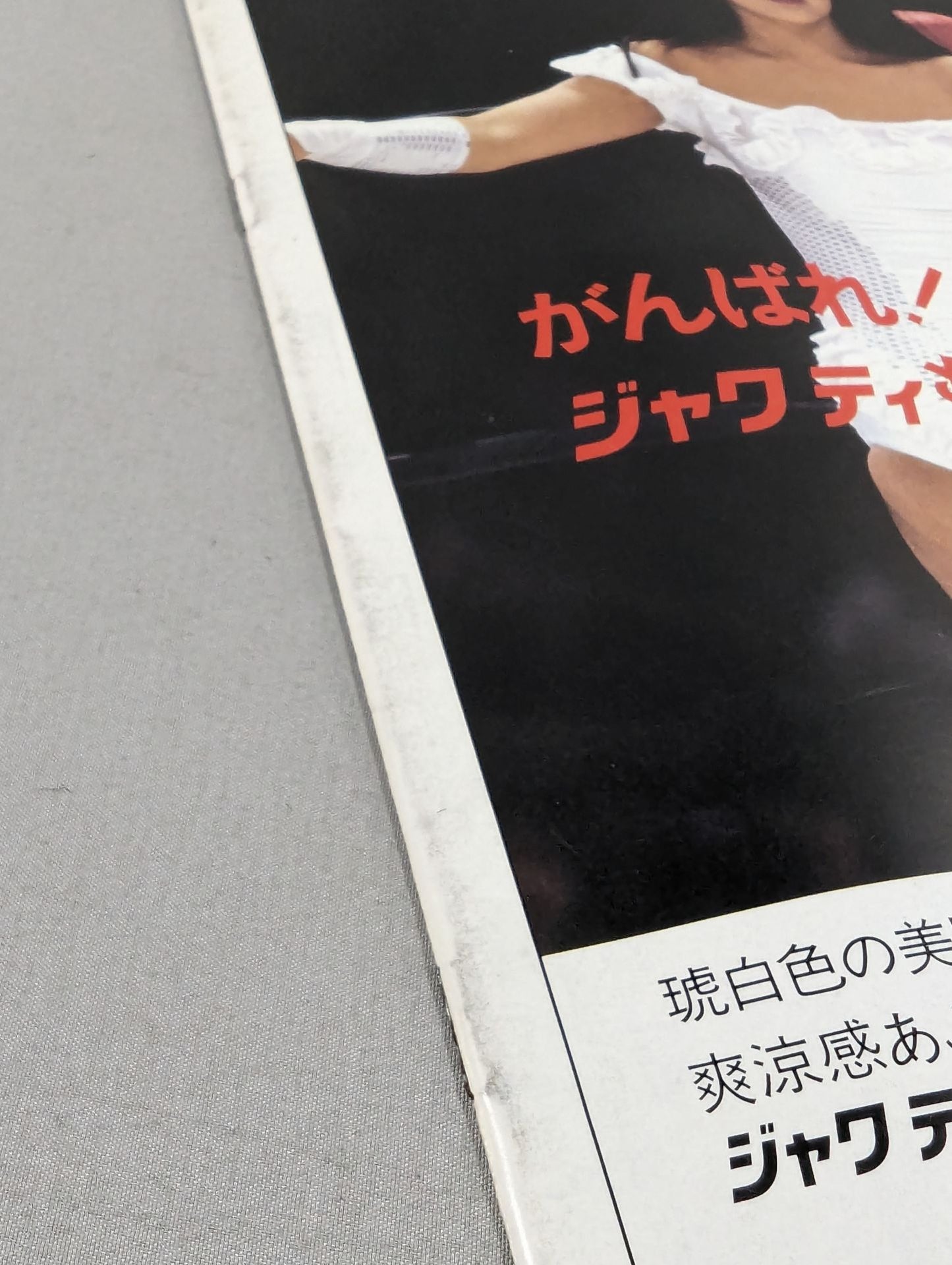 JWP OFFICIAL PAMPHLET Vol.1 / THE PURE HEART