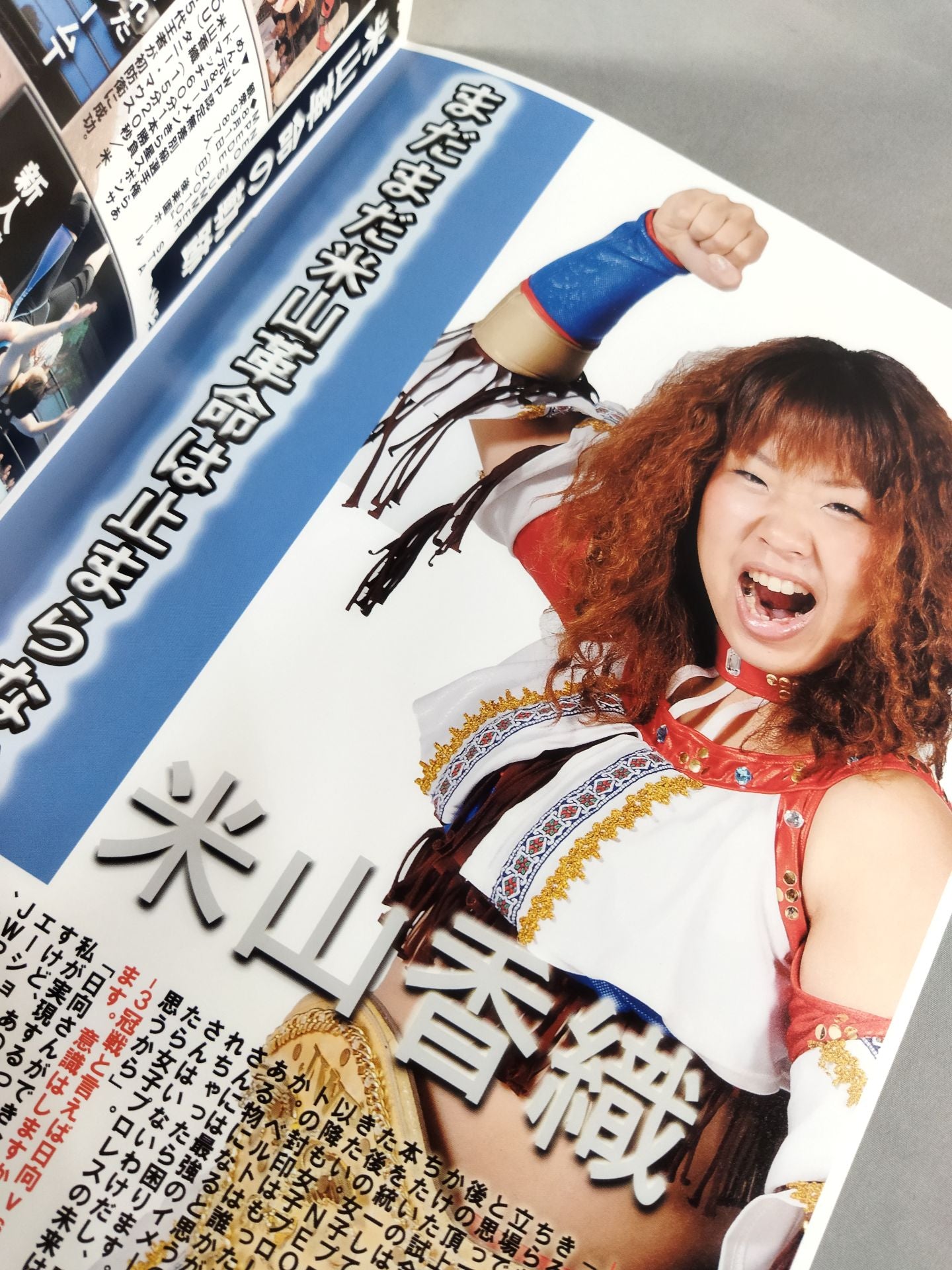 JWP / オフィシャルパンフレット2010 Vol.3