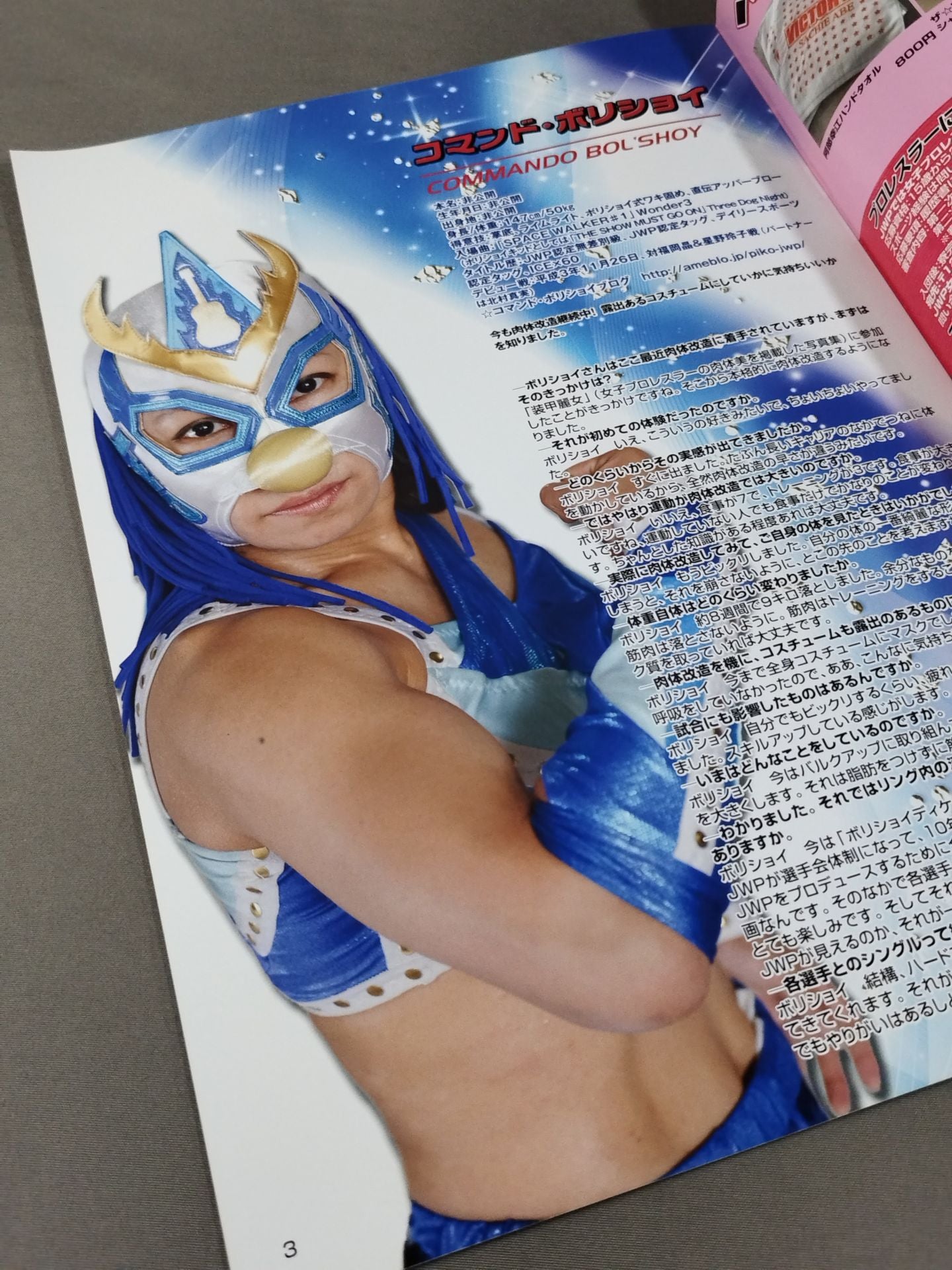 JWP / オフィシャルパンフレット2013 Vol.2