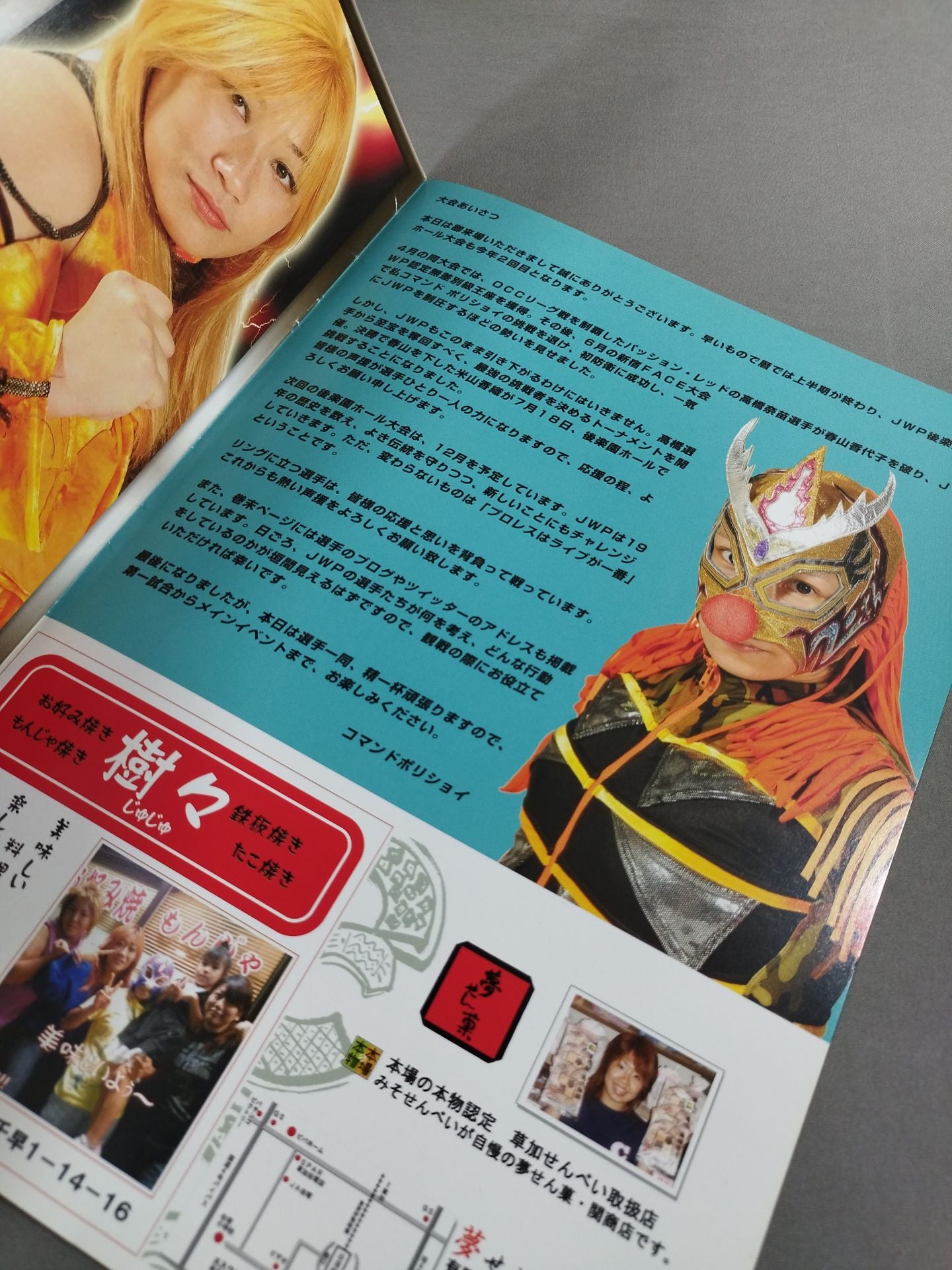 JWP / オフィシャルパンフレット2010 Vol.2