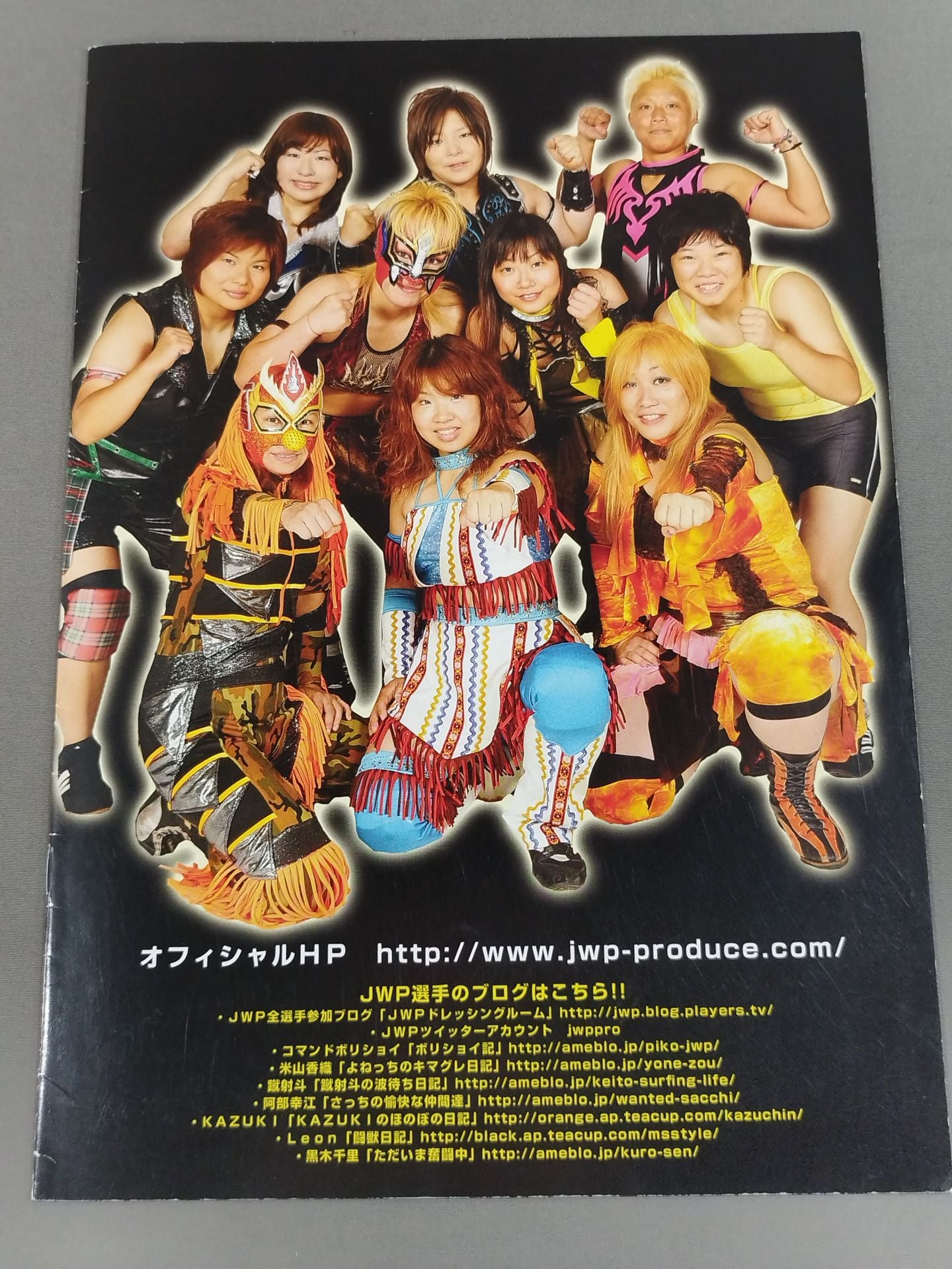 JWP / オフィシャルパンフレット2010 Vol.2