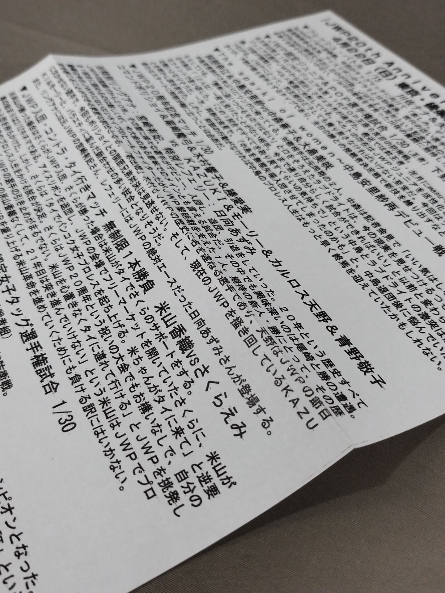 【ラビット美兎 直筆サイン入り】JWP / オフィシャルパンフレット2012 Vol.7