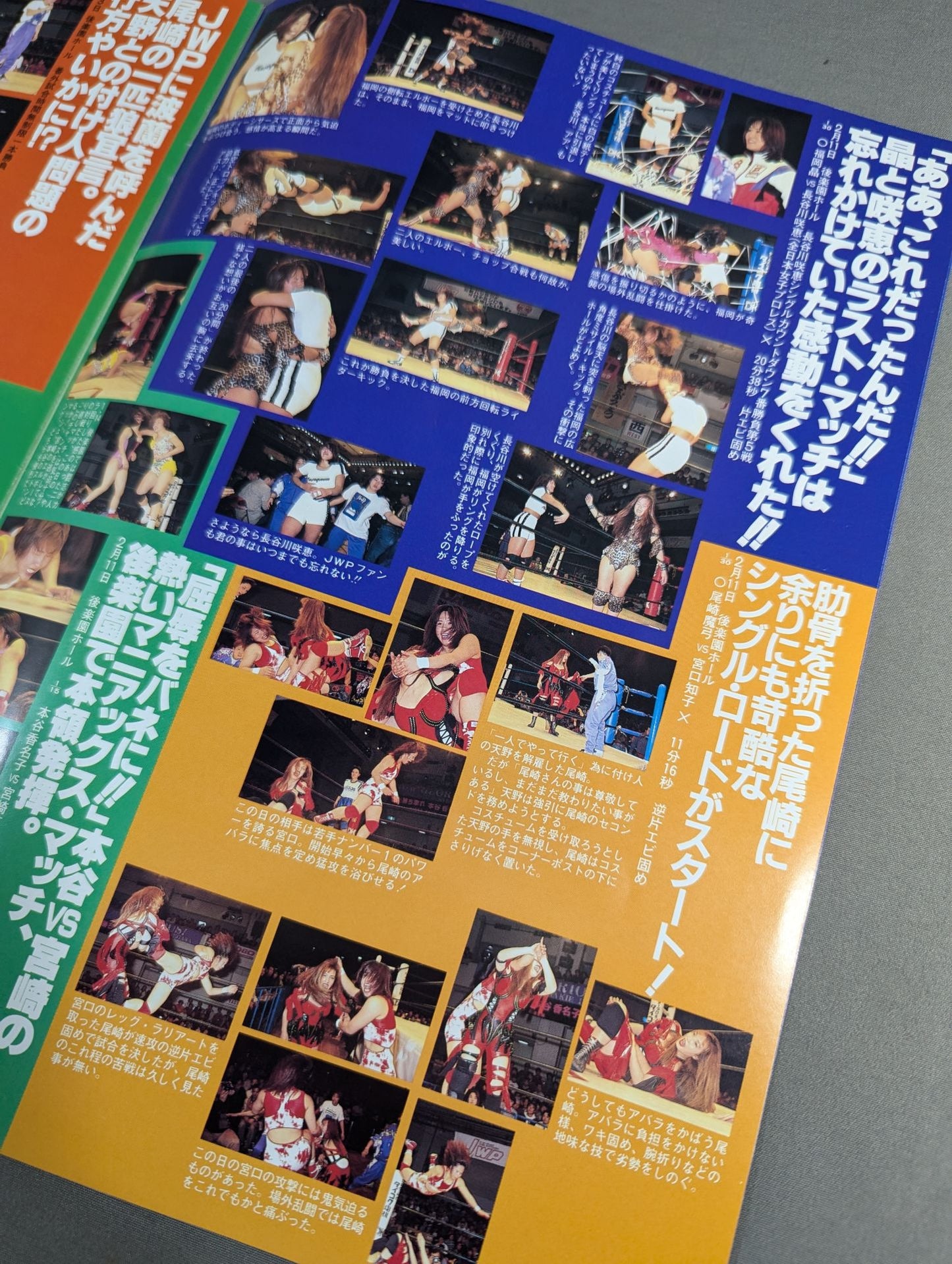 JWP / OFFICIAL PAMPHLET Vol.17