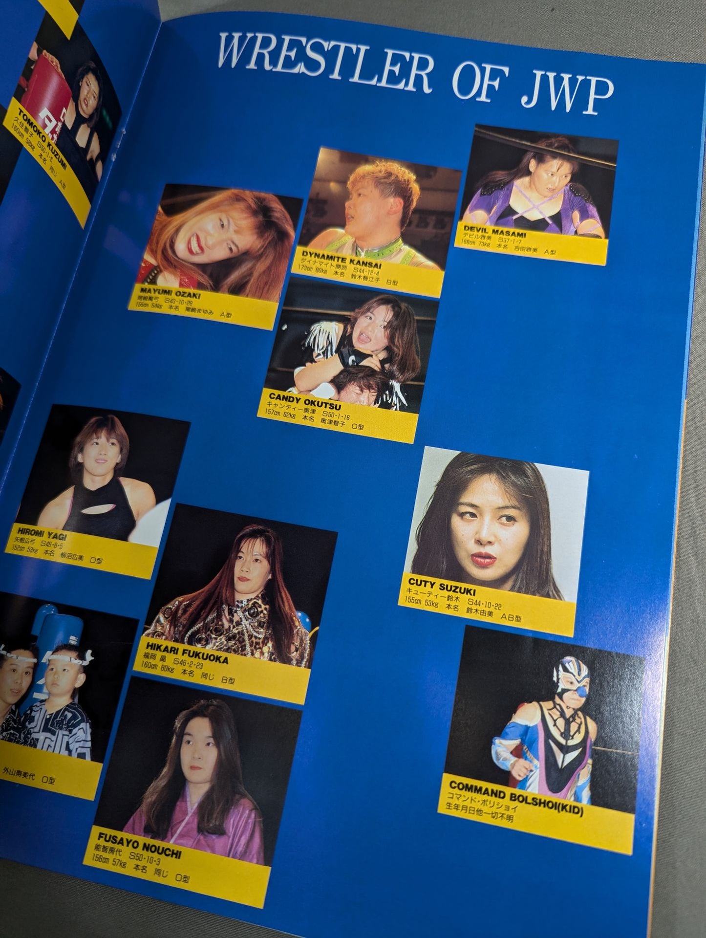 JWP / OFFICIAL PAMPHLET Vol.17
