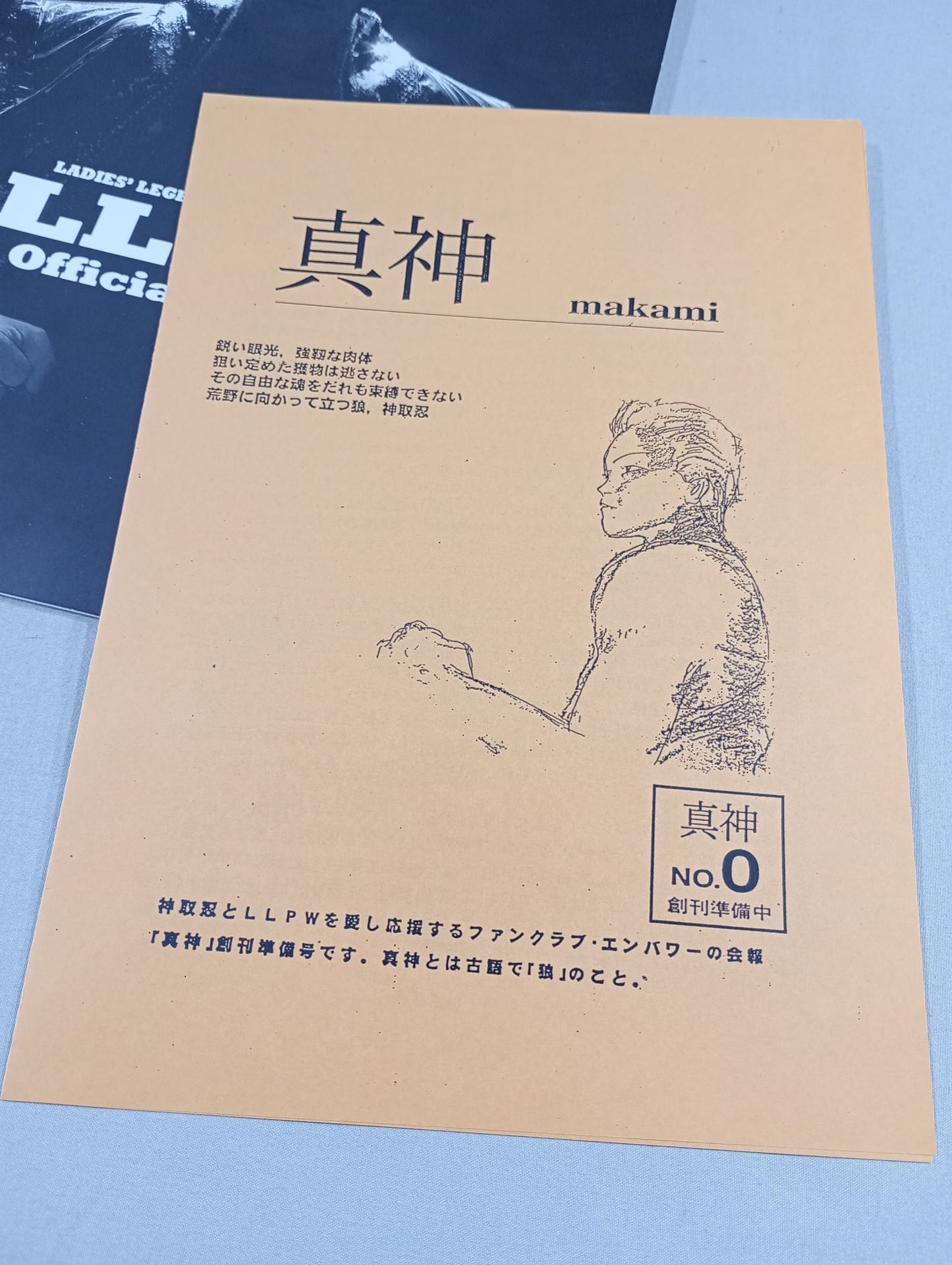 LLPW / Official Guide(1998)