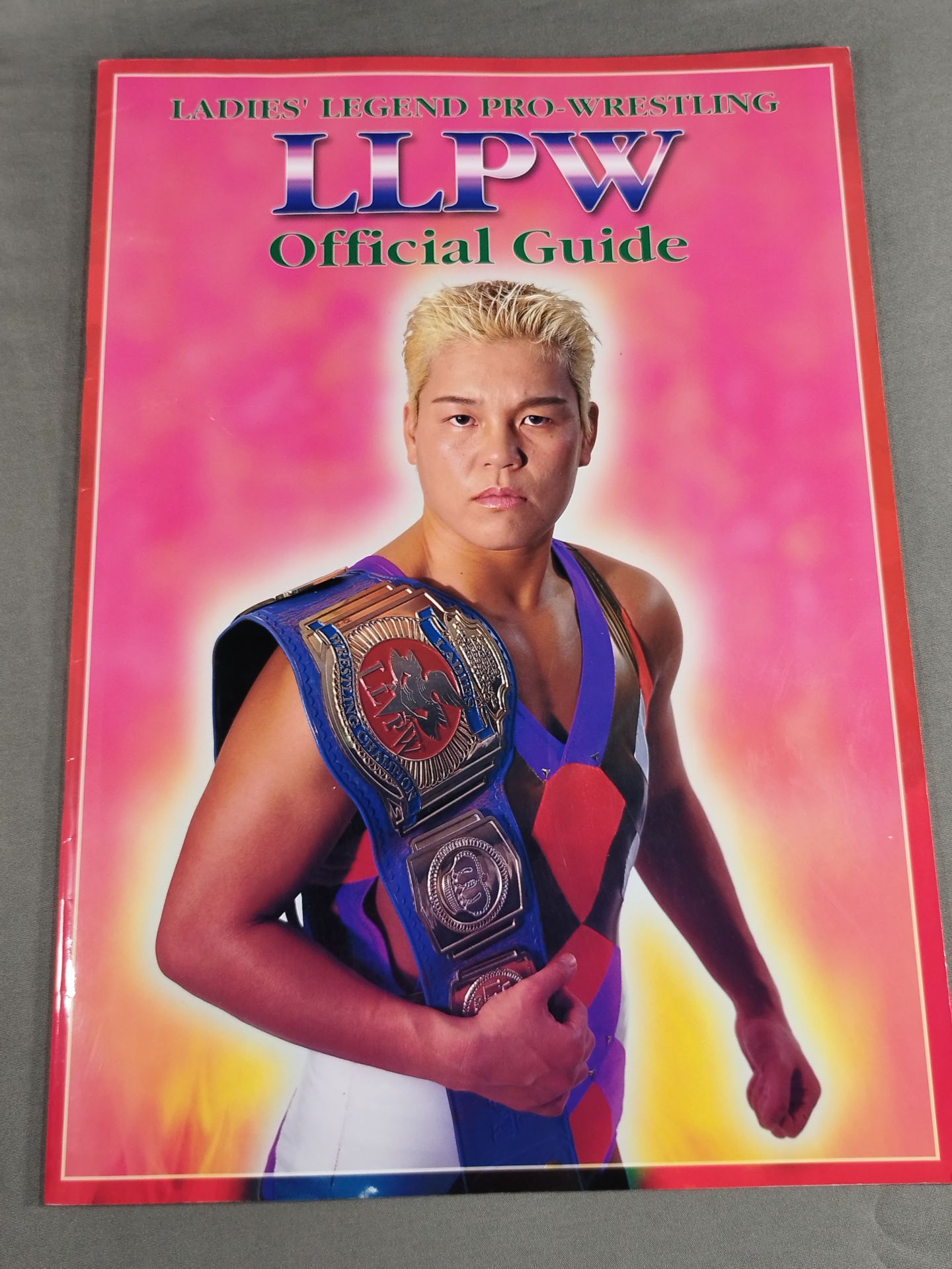 LLPW / Official Guide 1999 Vol.1
