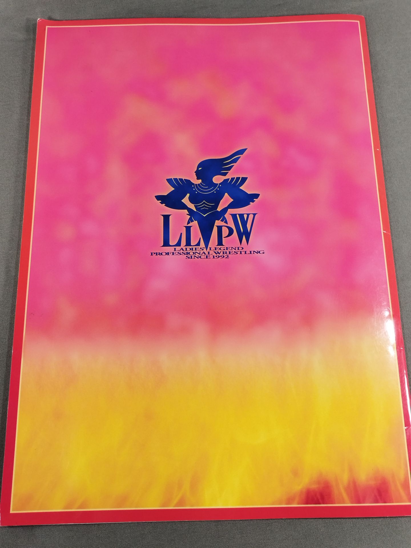 LLPW / Official Guide 1999 Vol.1