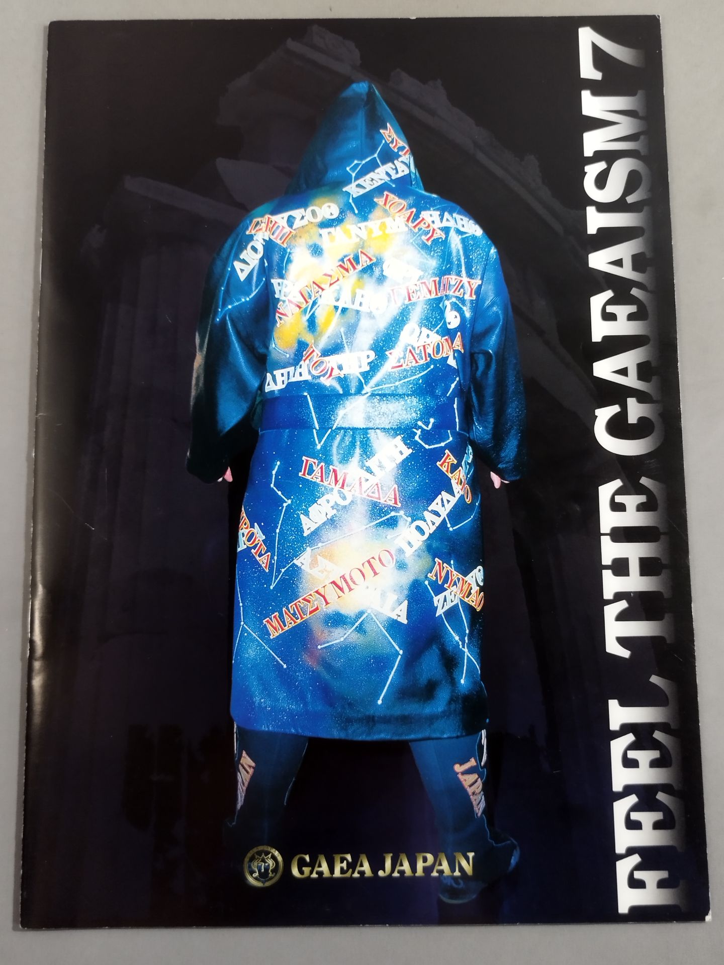 FEEL THE GAEAISM Vol.7