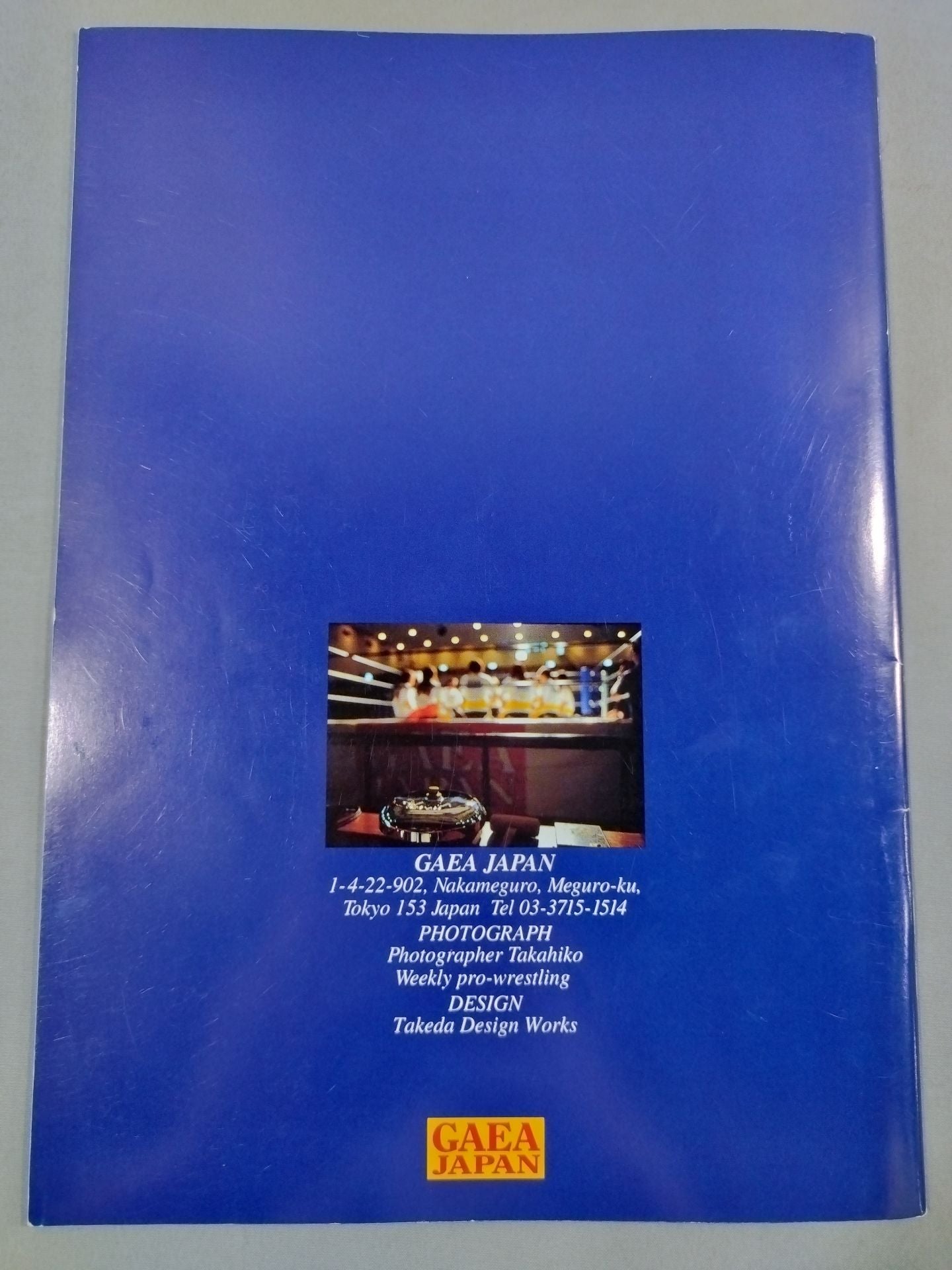 FEEL THE GAEAISM Vol.2