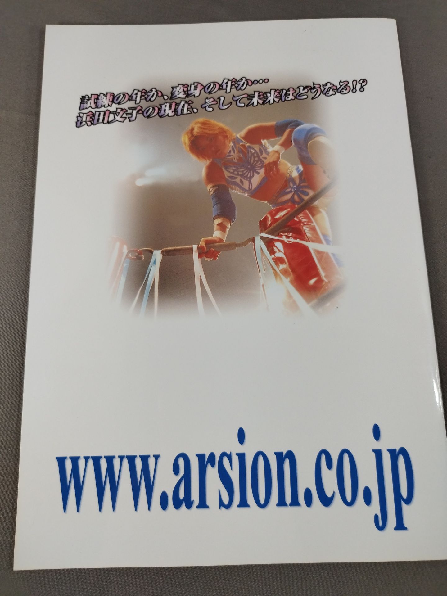 ARSION Official Guidebook Vol.24
