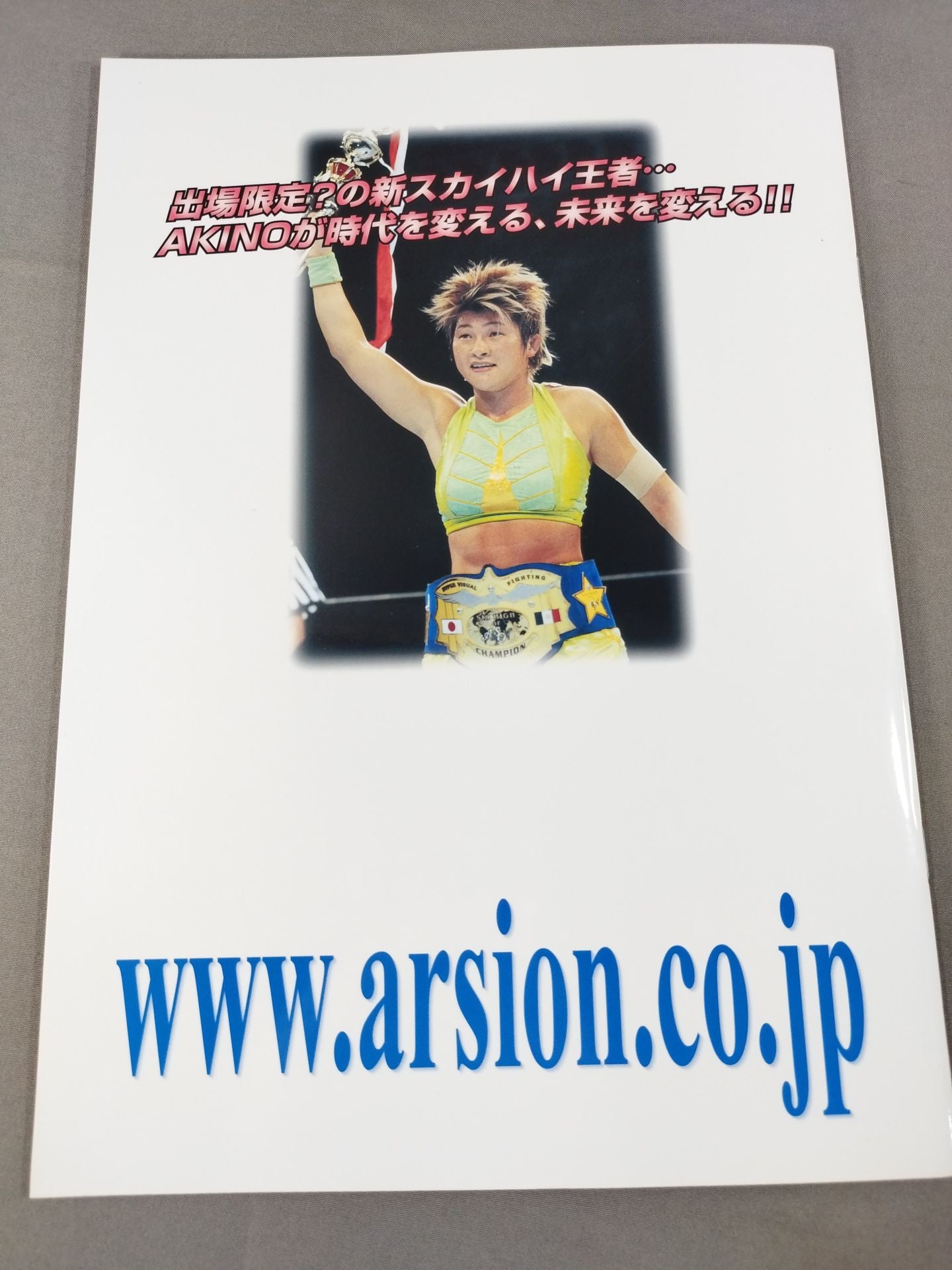 ARSION Official Guidebook Vol.25