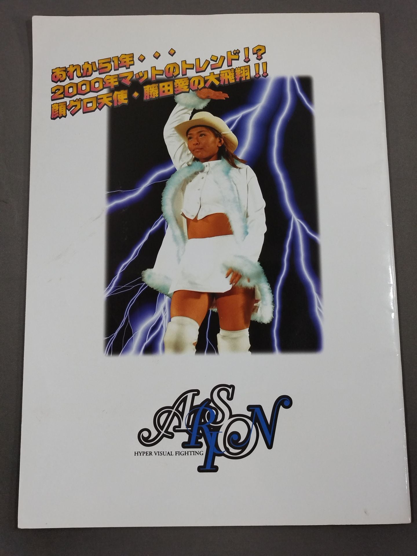 ARSION Official Guidebook Vol.14