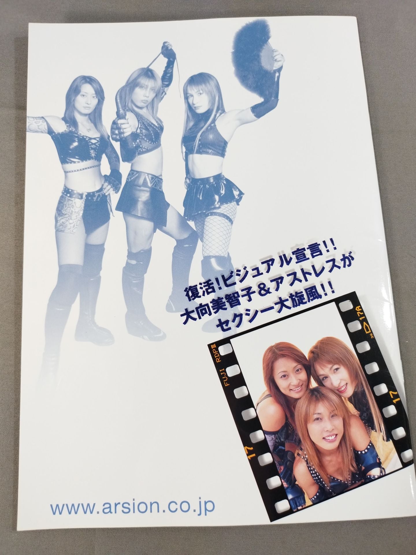 ARSION Official Guidebook Vol.28