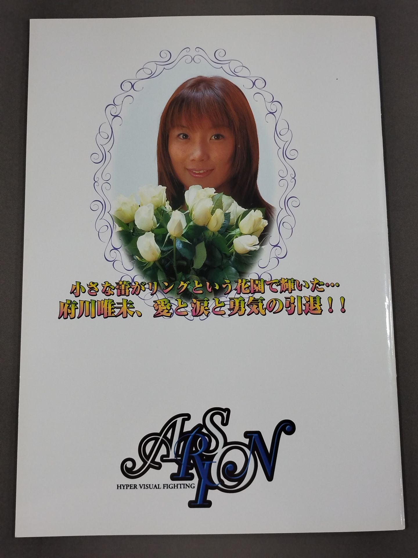 ARSION Official Guidebook Vol.19