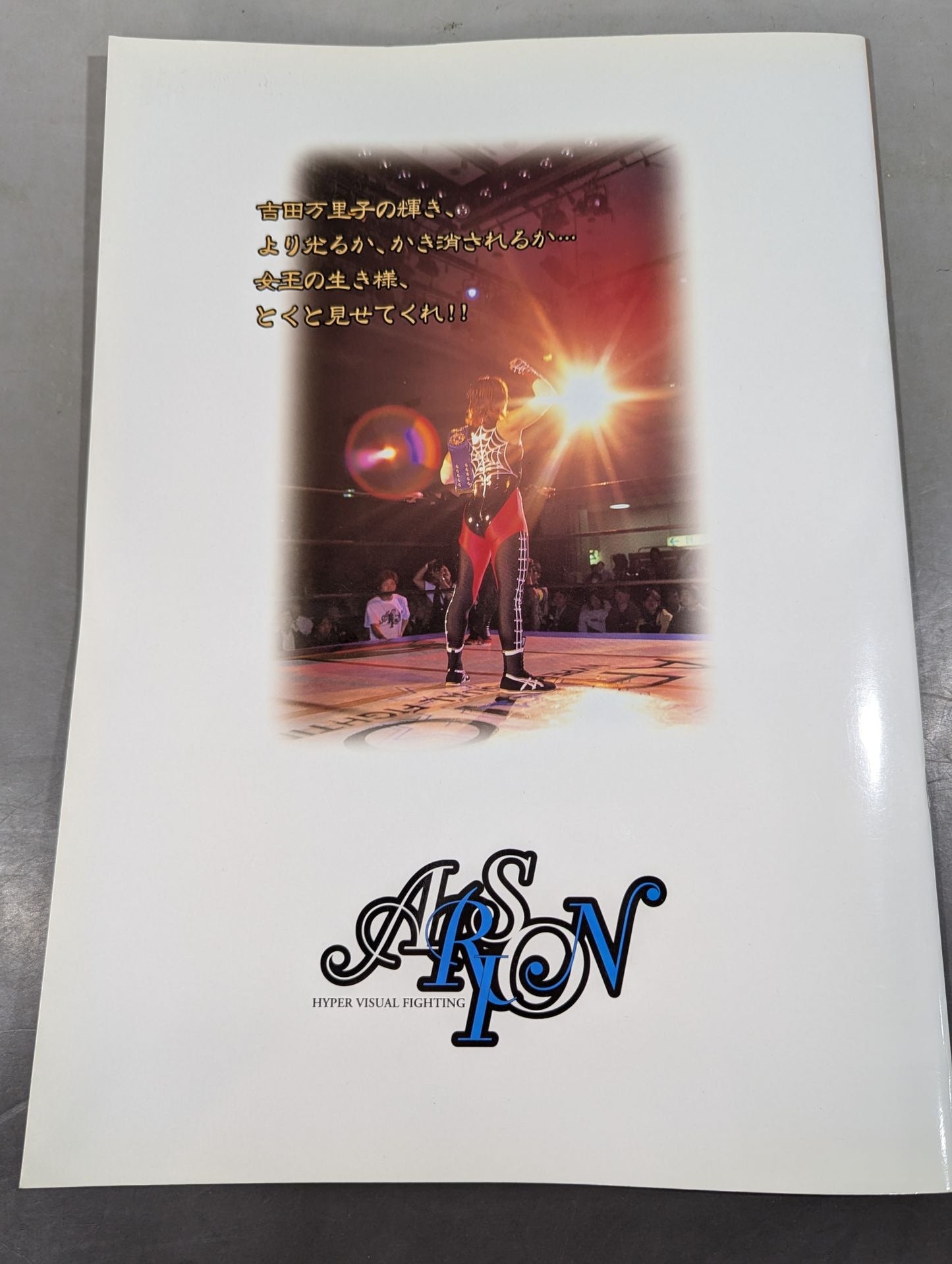 ARSION Official Guidebook Vol.11