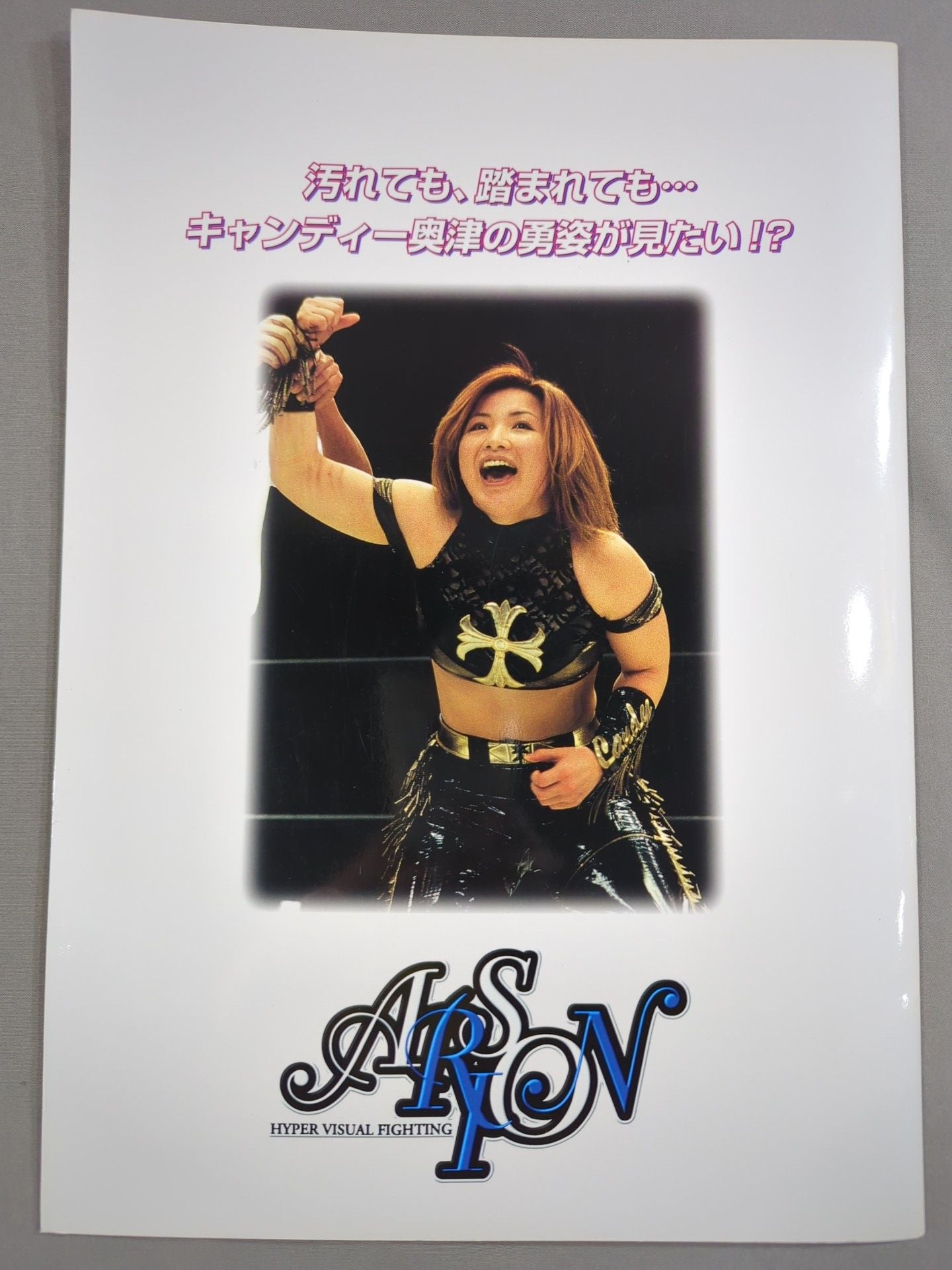 アルシオン STARLET 2000 オフィシャルガイドブック Vol.15