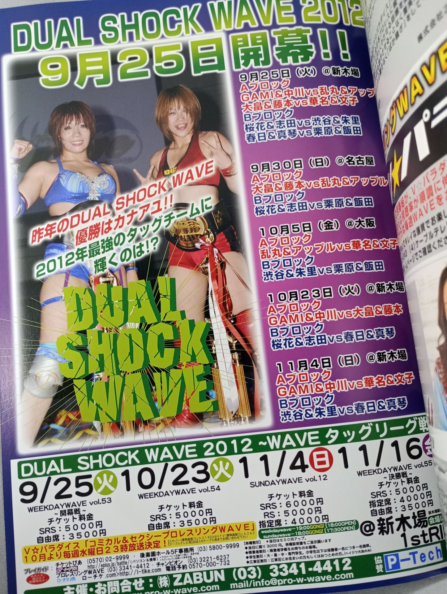 Pro-wrestling WAVE Official Brochure vol.58