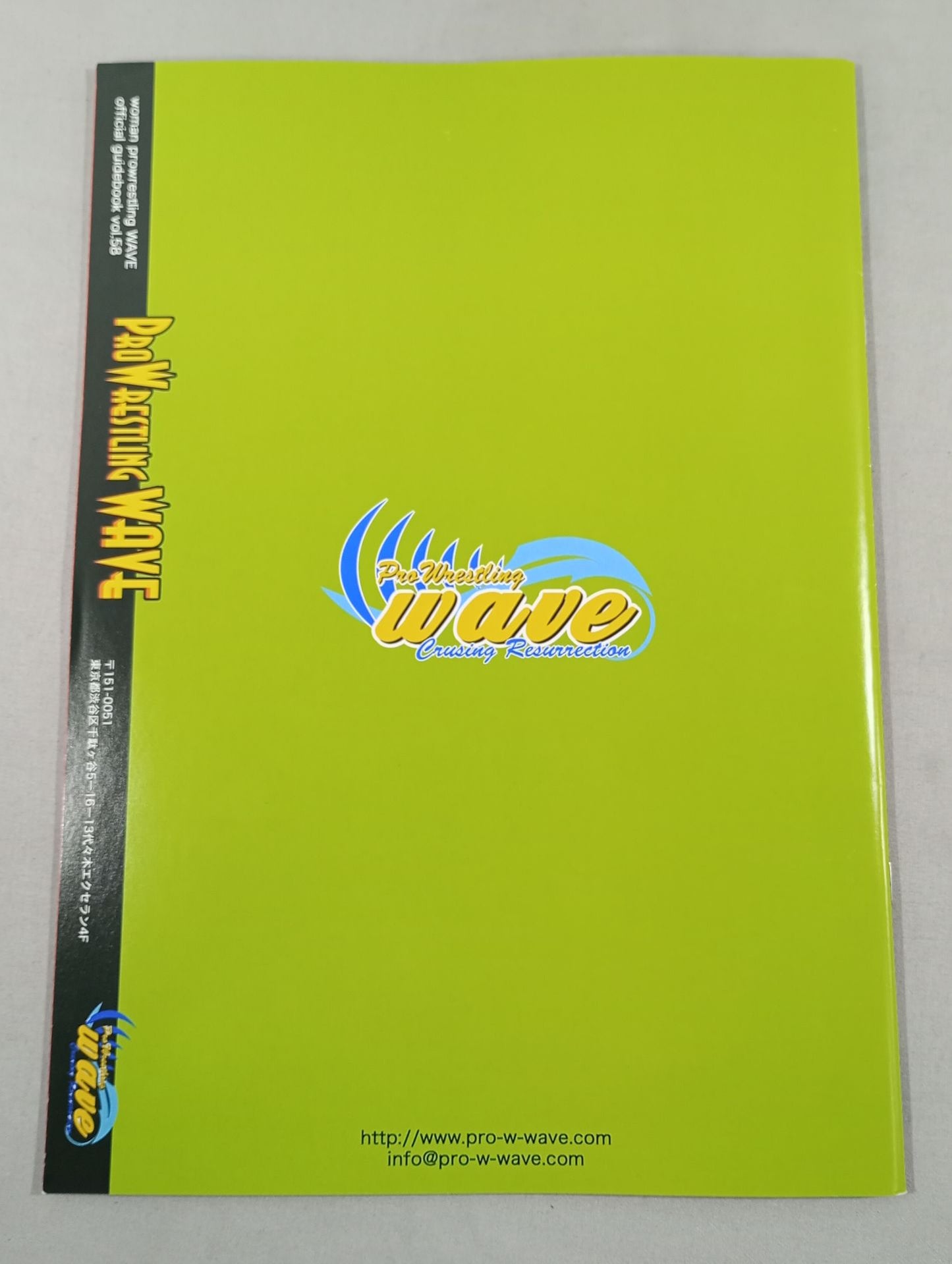 Pro-wrestling WAVE Official Brochure vol.58