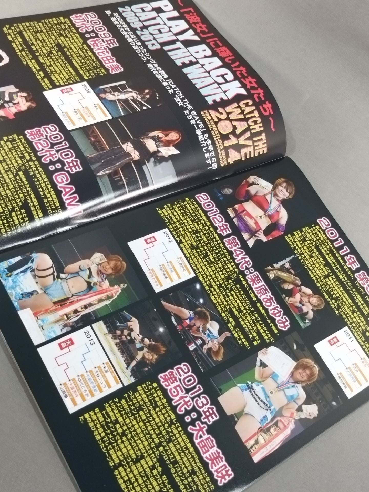 Pro-wrestling WAVE Official Brochure vol.73