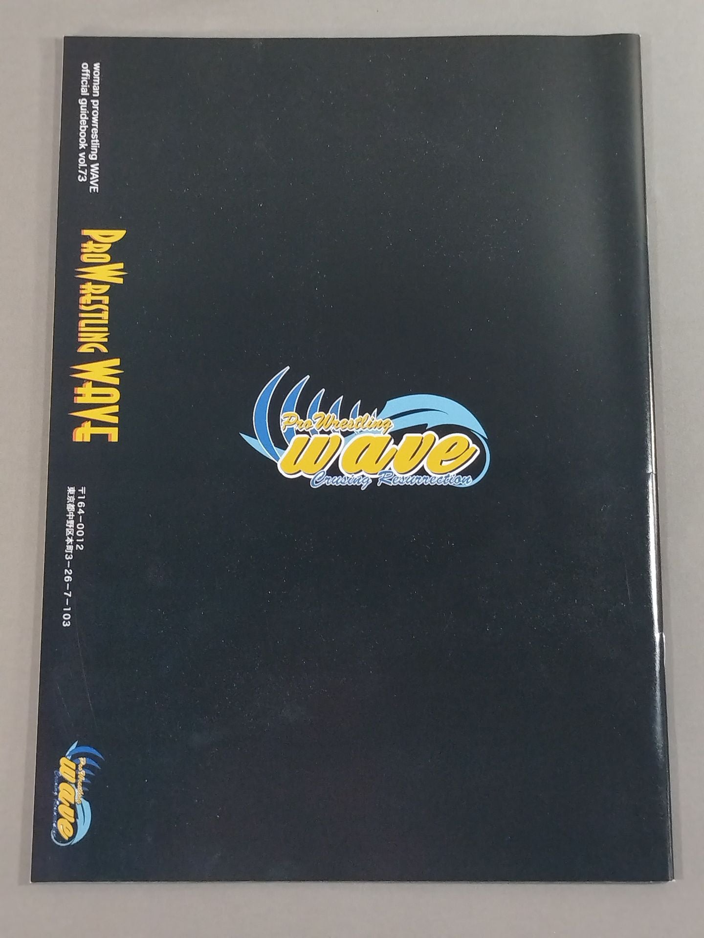 Pro-wrestling WAVE Official Brochure vol.73