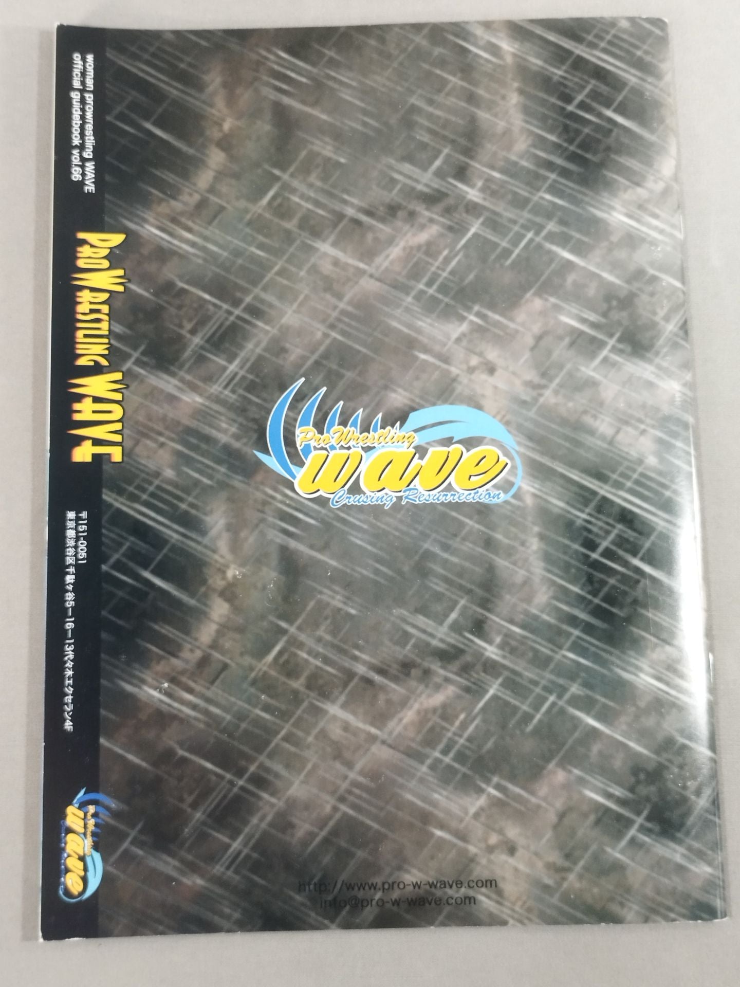 Pro-wrestling WAVE Official Brochure vol.66