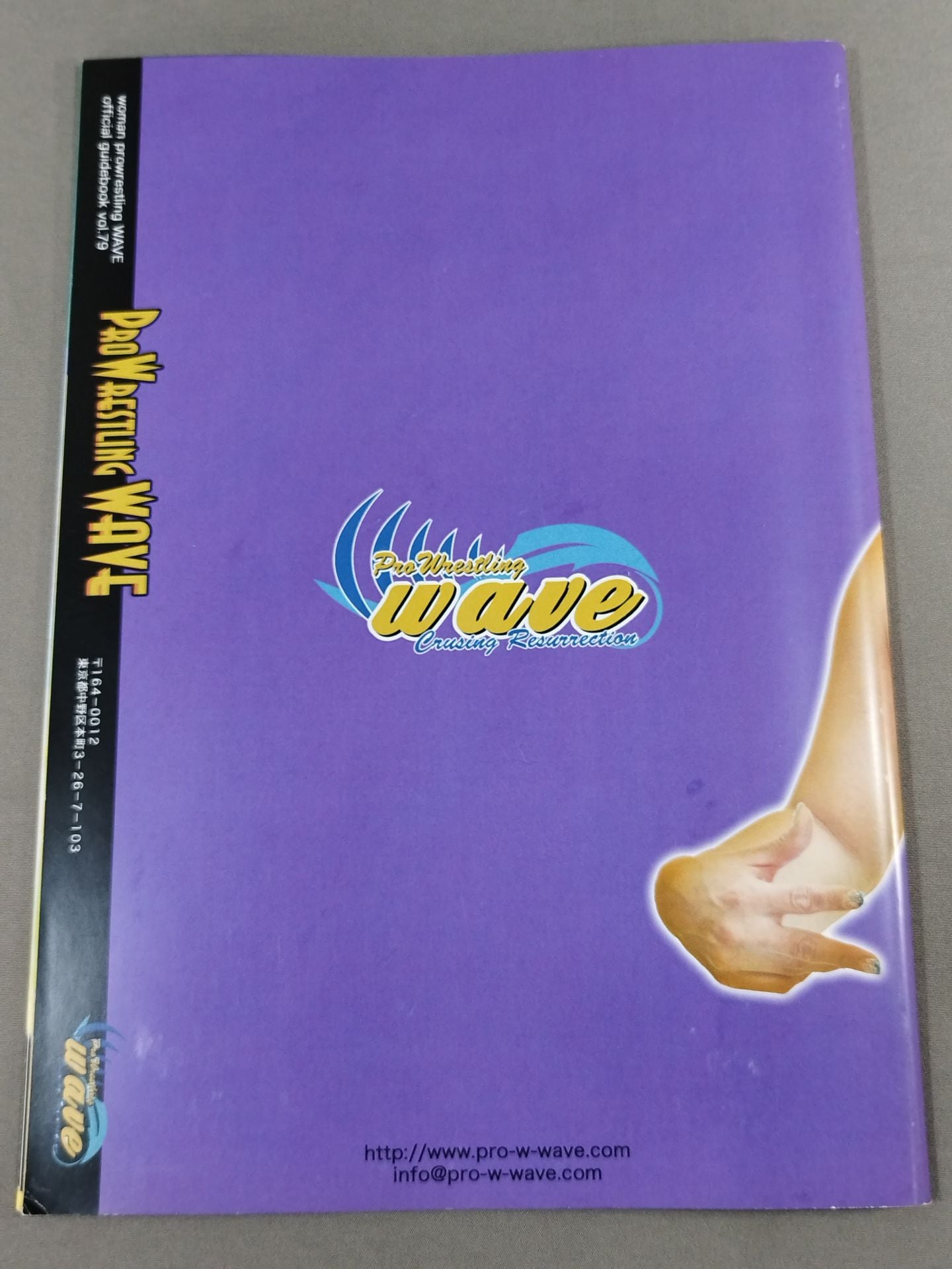 Pro-wrestling WAVE Official Brochure vol.79