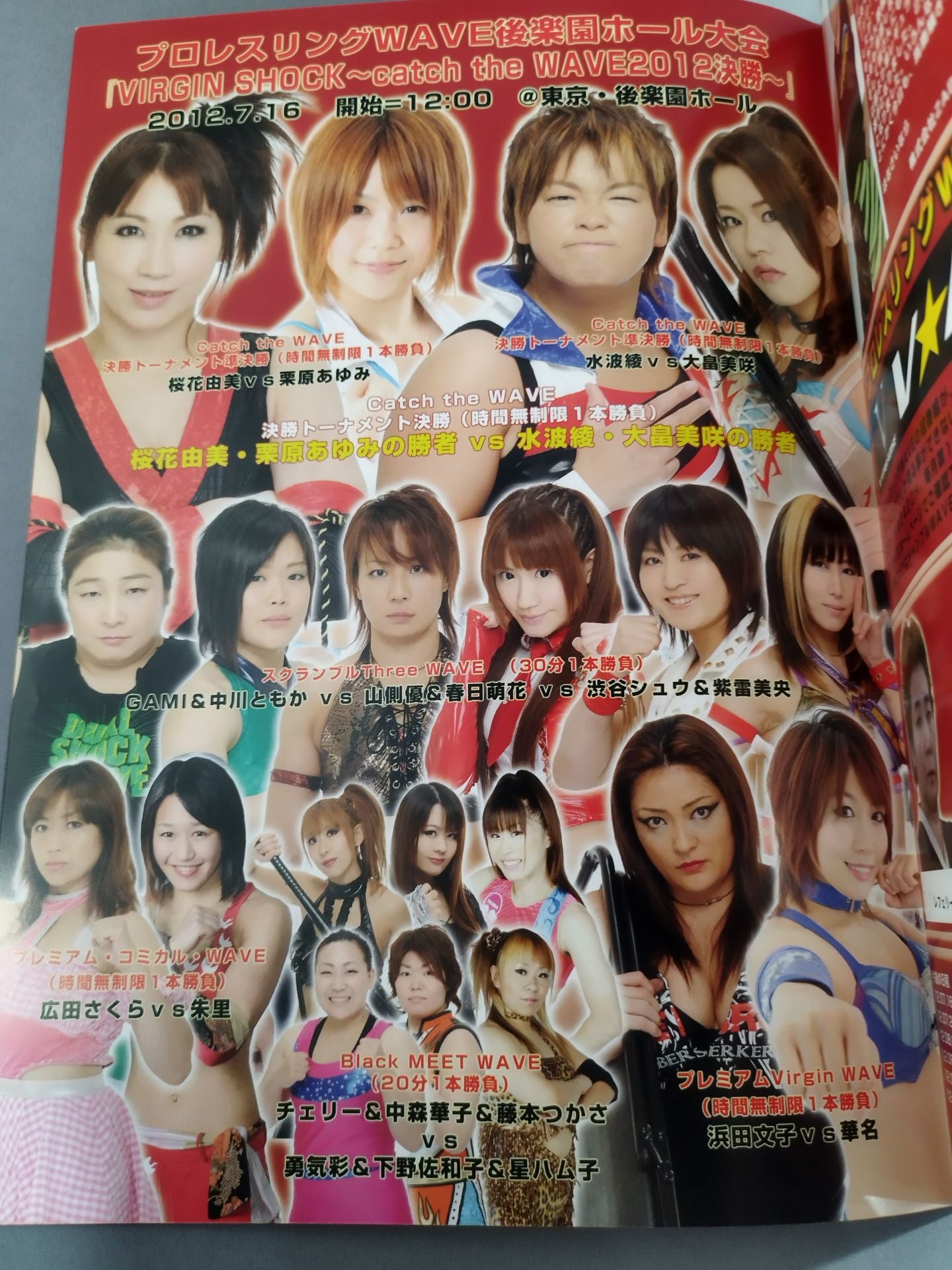 Pro-wrestling WAVE Official Brochure vol.56