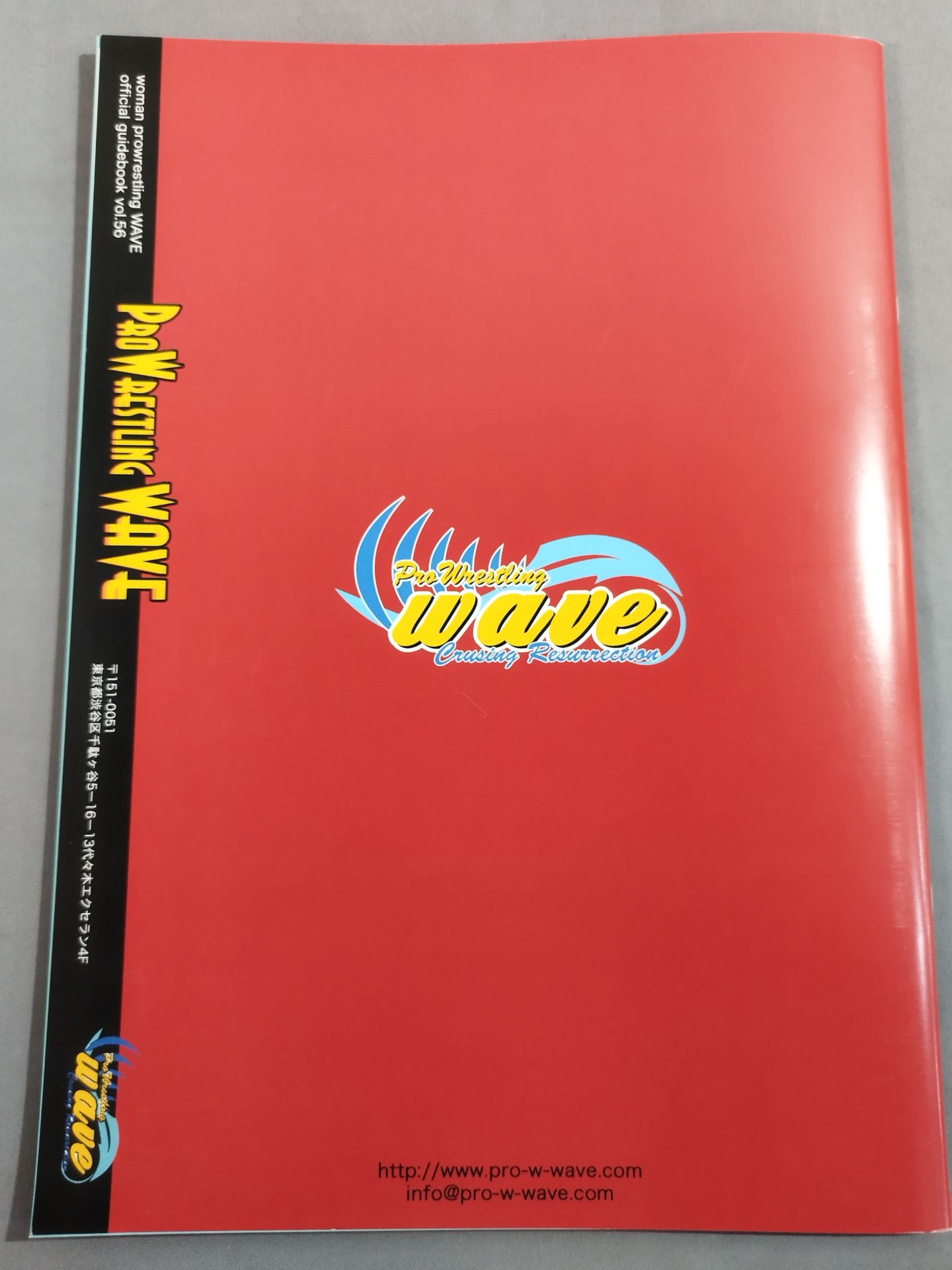Pro-wrestling WAVE Official Brochure vol.56