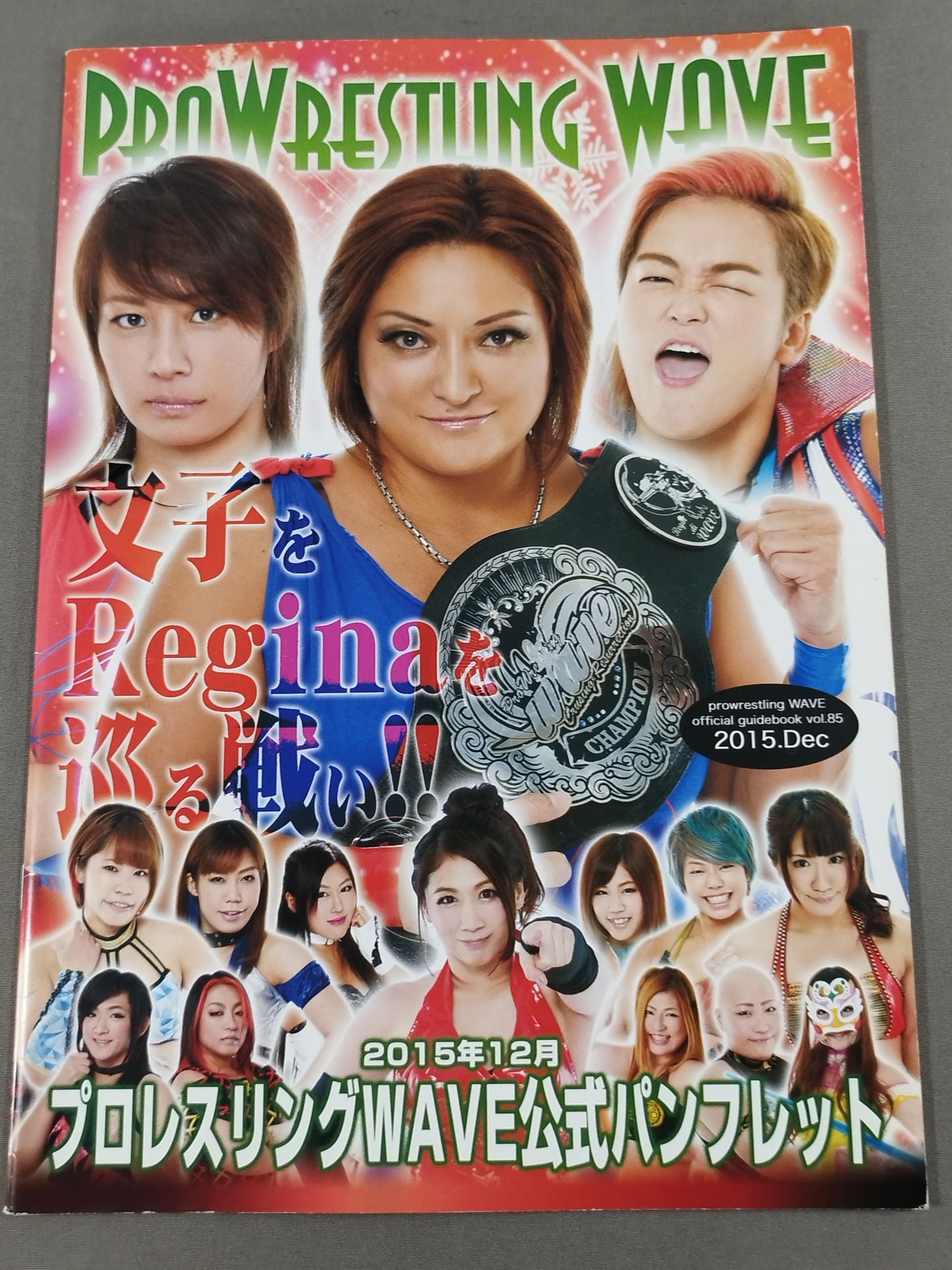 Pro-wrestling WAVE Official Brochure vol.85