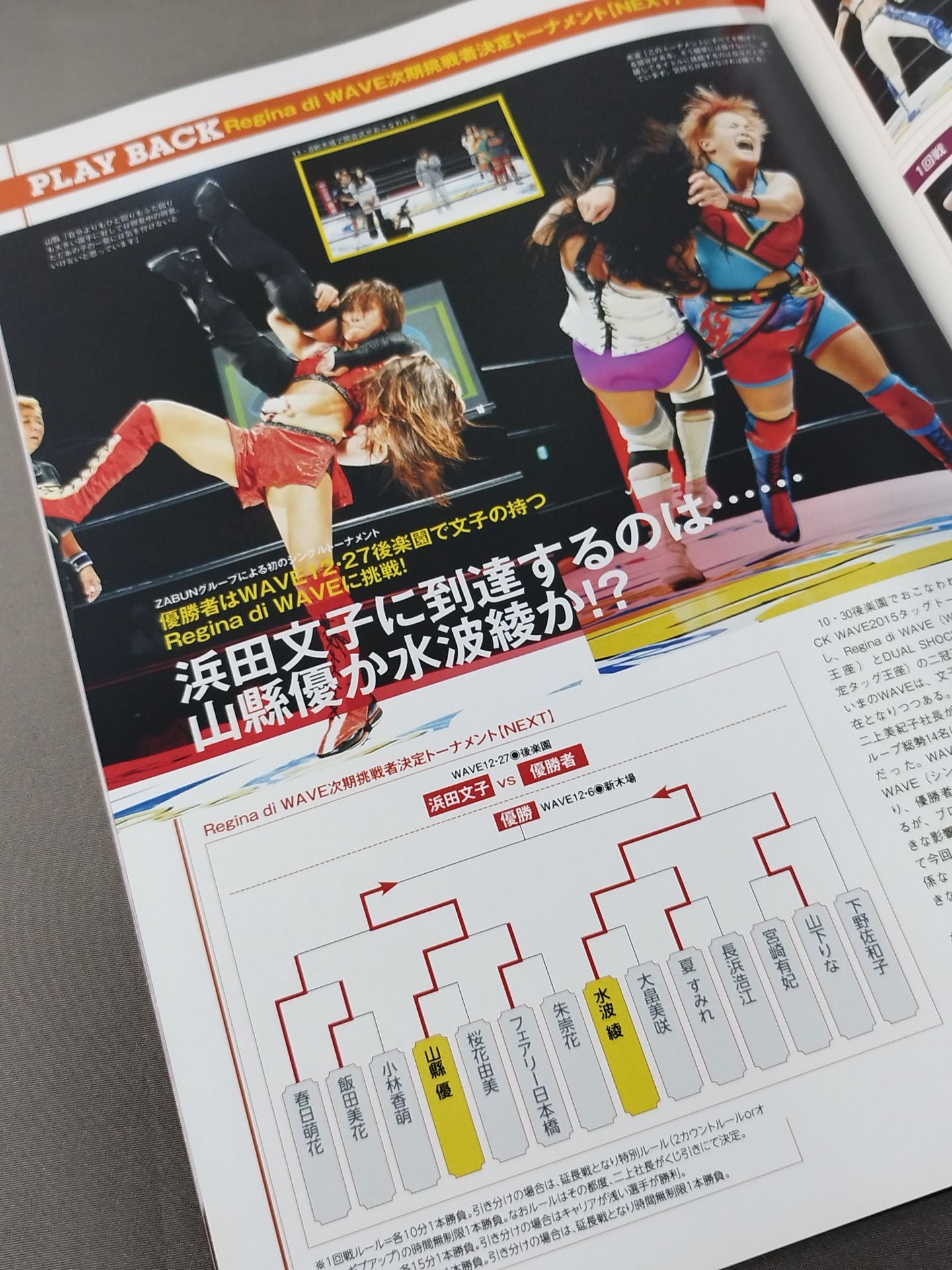 Pro-wrestling WAVE Official Brochure vol.85