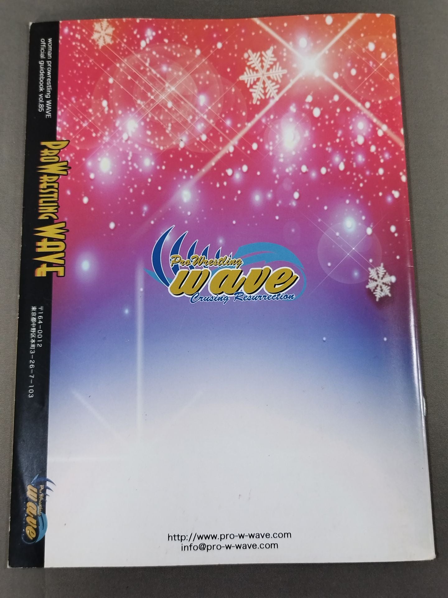 Pro-wrestling WAVE Official Brochure vol.85