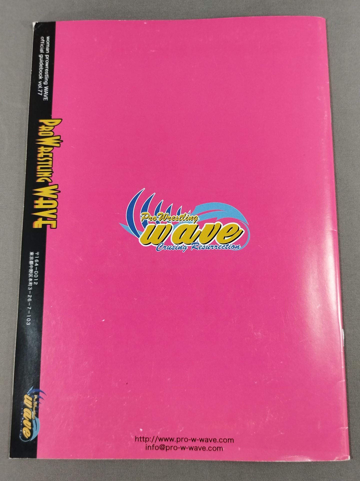 Pro-wrestling WAVE Official Brochure vol.77