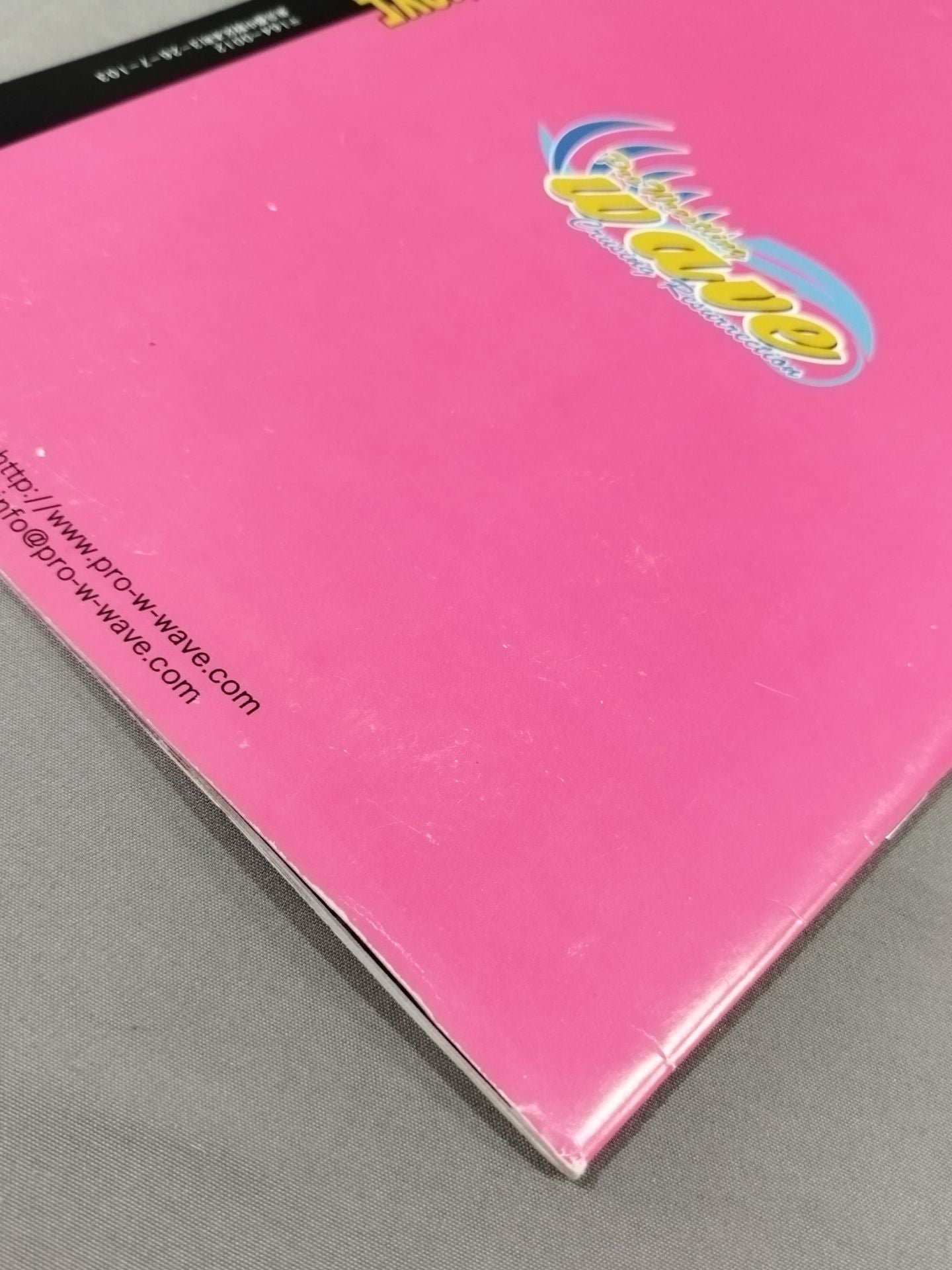 Pro-wrestling WAVE Official Brochure vol.77
